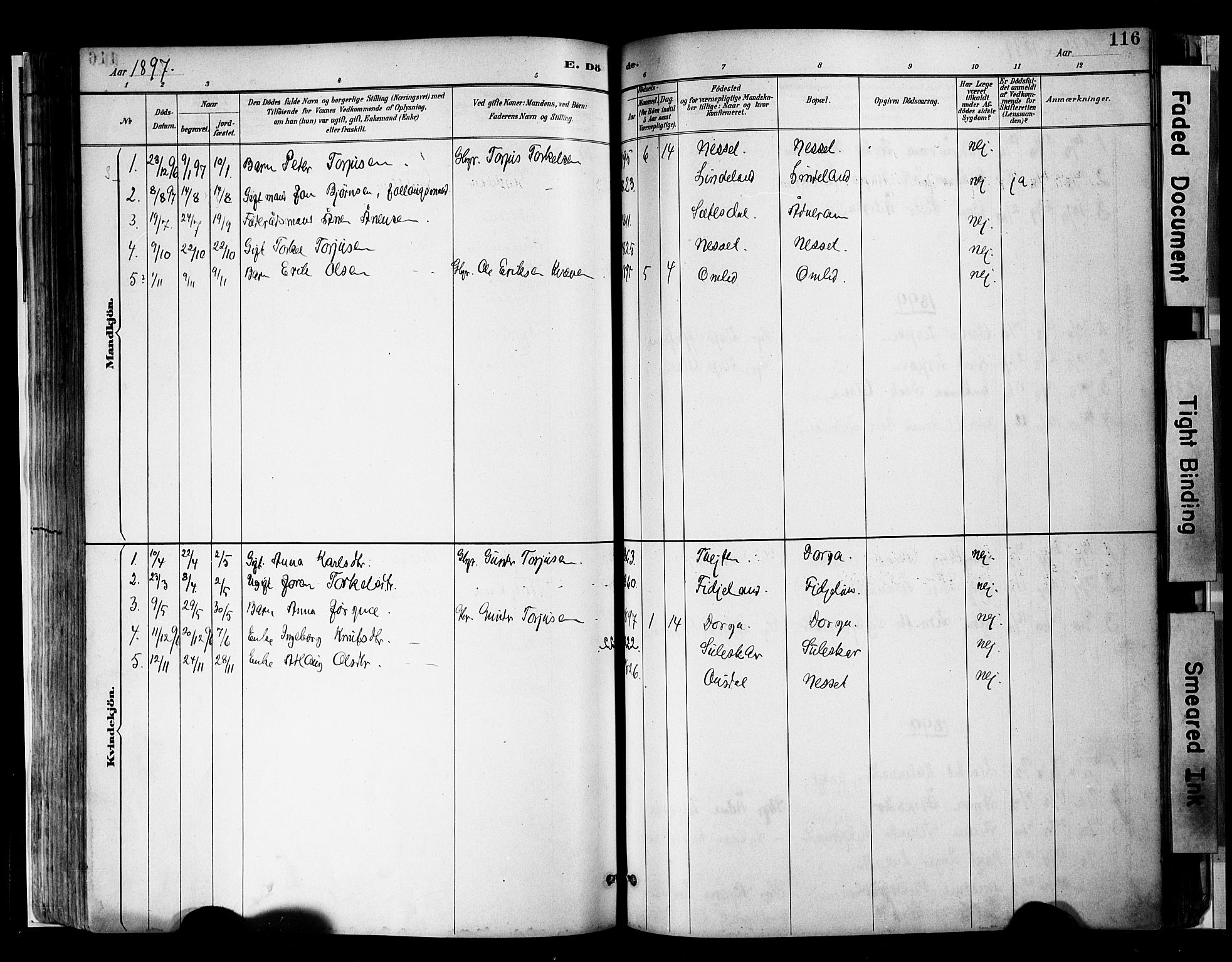 Sirdal sokneprestkontor, AV/SAK-1111-0036/F/Fa/Faa/L0001: Ministerialbok nr. A 1, 1887-1910, s. 117