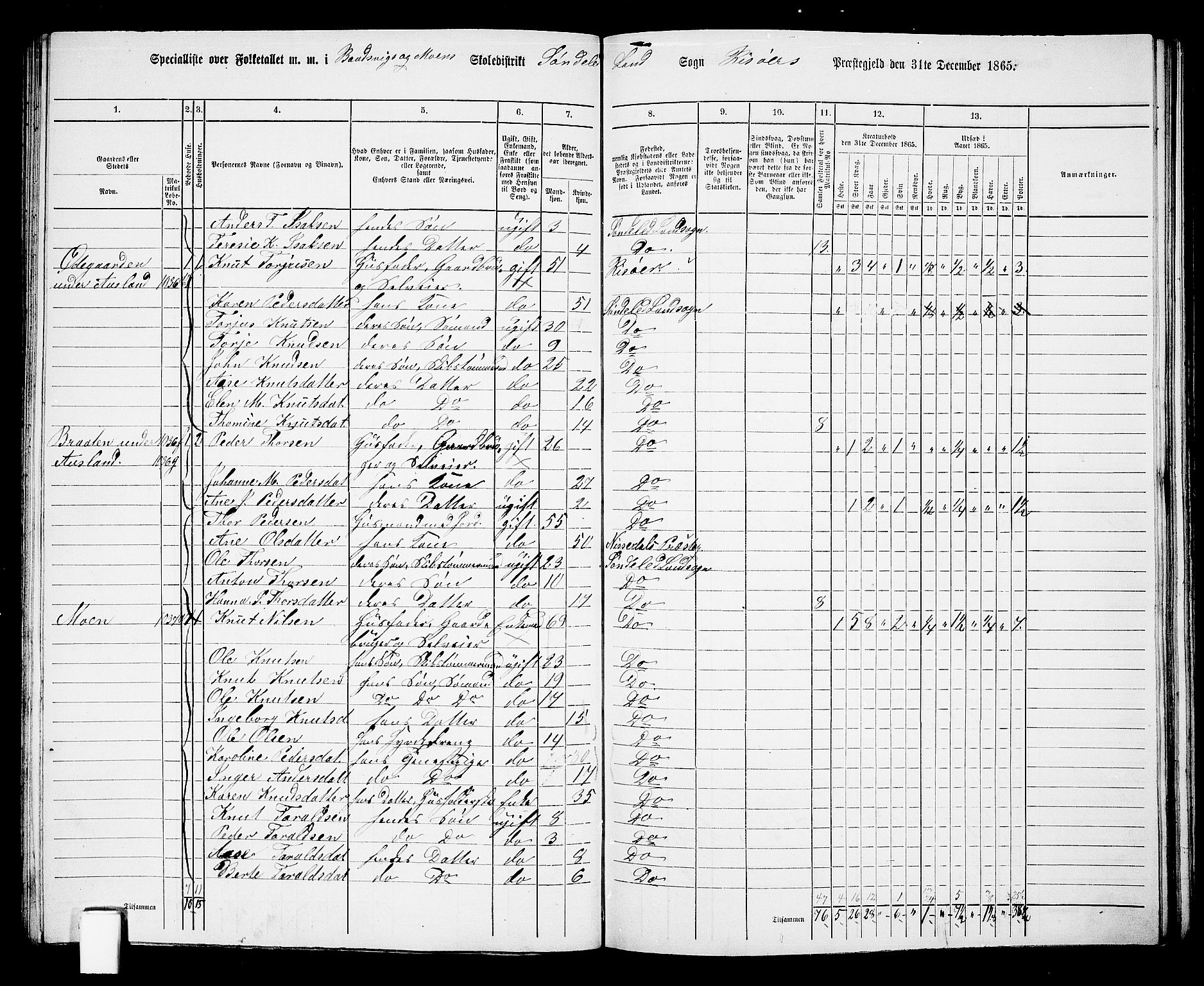 RA, Folketelling 1865 for 0913L Risør prestegjeld, Søndeled sokn, 1865, s. 84