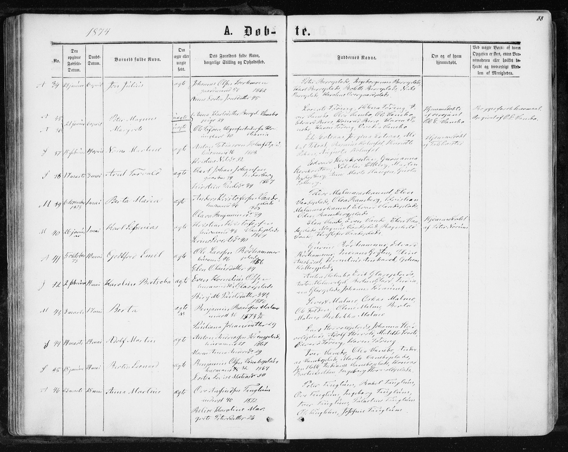 Ministerialprotokoller, klokkerbøker og fødselsregistre - Nord-Trøndelag, AV/SAT-A-1458/741/L0394: Ministerialbok nr. 741A08, 1864-1877, s. 88