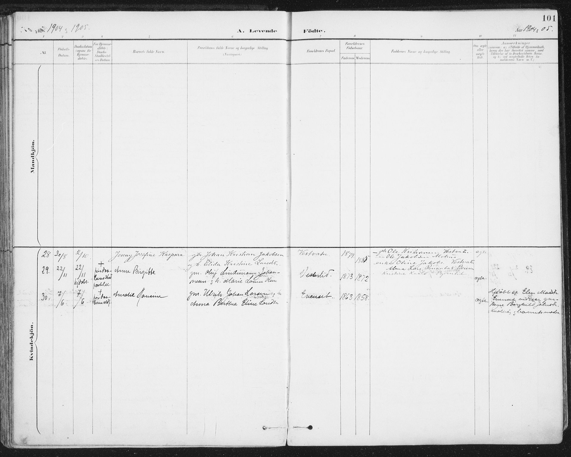 Ministerialprotokoller, klokkerbøker og fødselsregistre - Nordland, SAT/A-1459/852/L0741: Ministerialbok nr. 852A11, 1894-1917, s. 101
