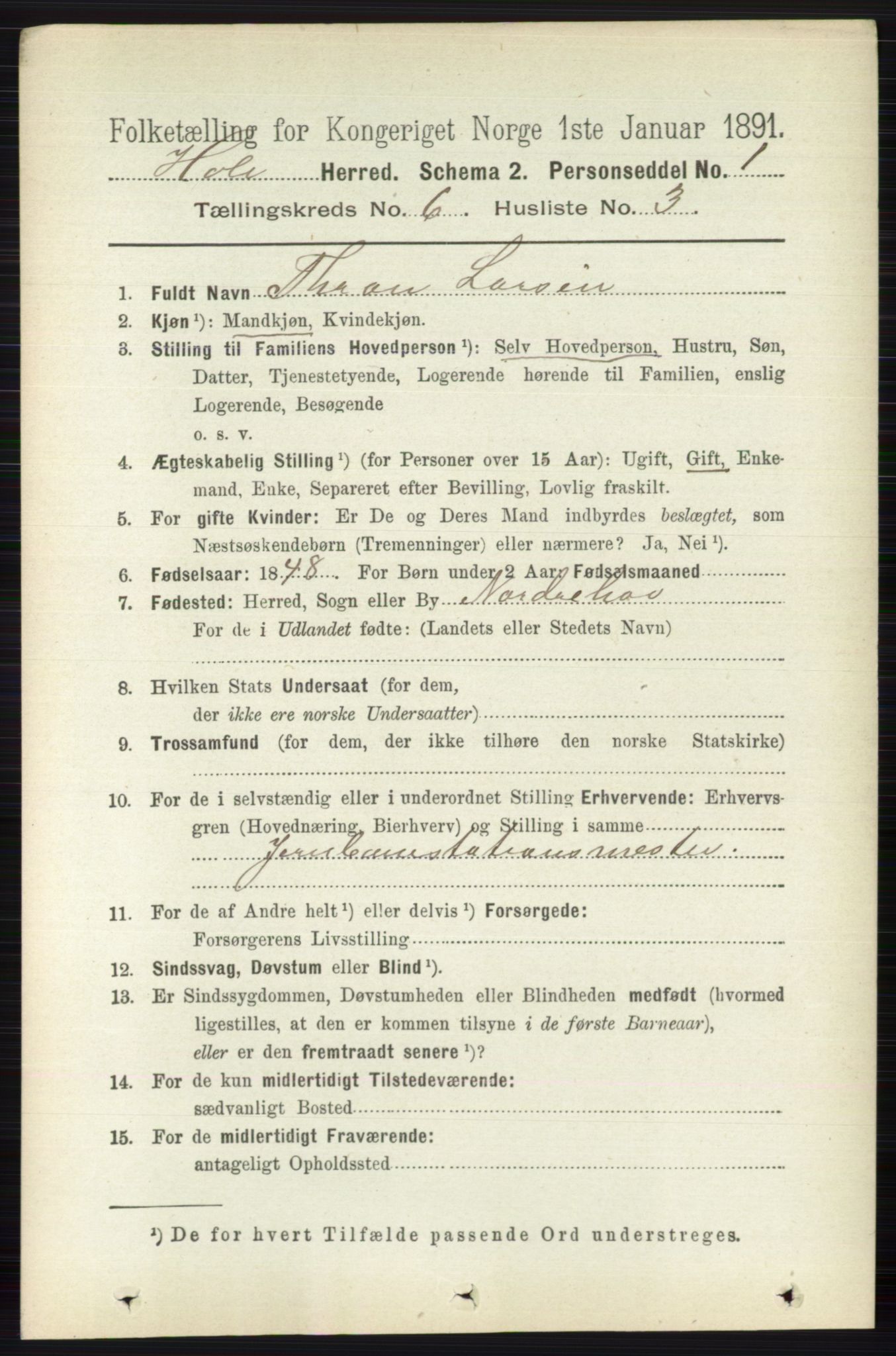 RA, Folketelling 1891 for 0612 Hole herred, 1891, s. 3117