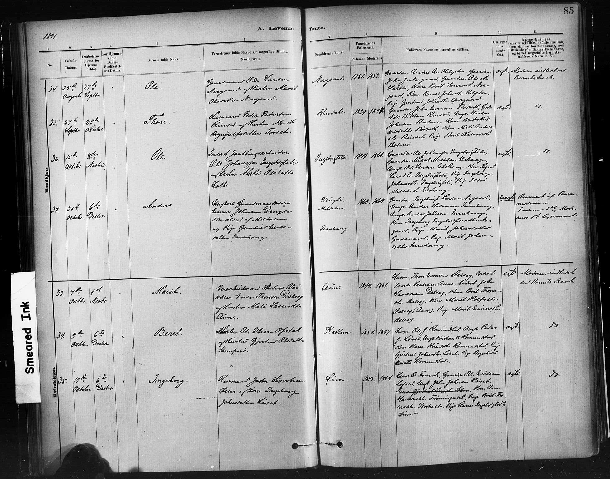 Ministerialprotokoller, klokkerbøker og fødselsregistre - Møre og Romsdal, SAT/A-1454/598/L1069: Ministerialbok nr. 598A03, 1882-1895, s. 85