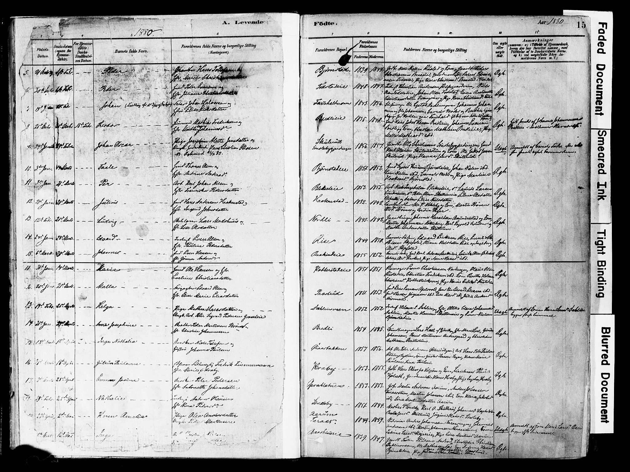 Østre Toten prestekontor, AV/SAH-PREST-104/H/Ha/Haa/L0006: Ministerialbok nr. 6 /1, 1878-1896, s. 15