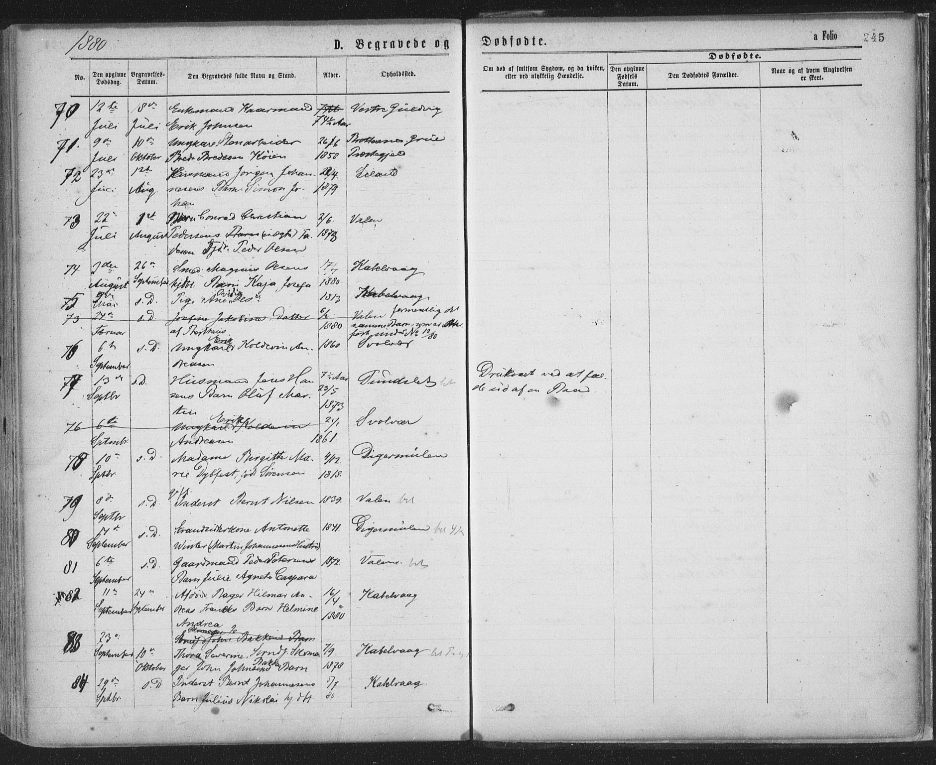 Ministerialprotokoller, klokkerbøker og fødselsregistre - Nordland, SAT/A-1459/874/L1058: Ministerialbok nr. 874A02, 1878-1883, s. 245
