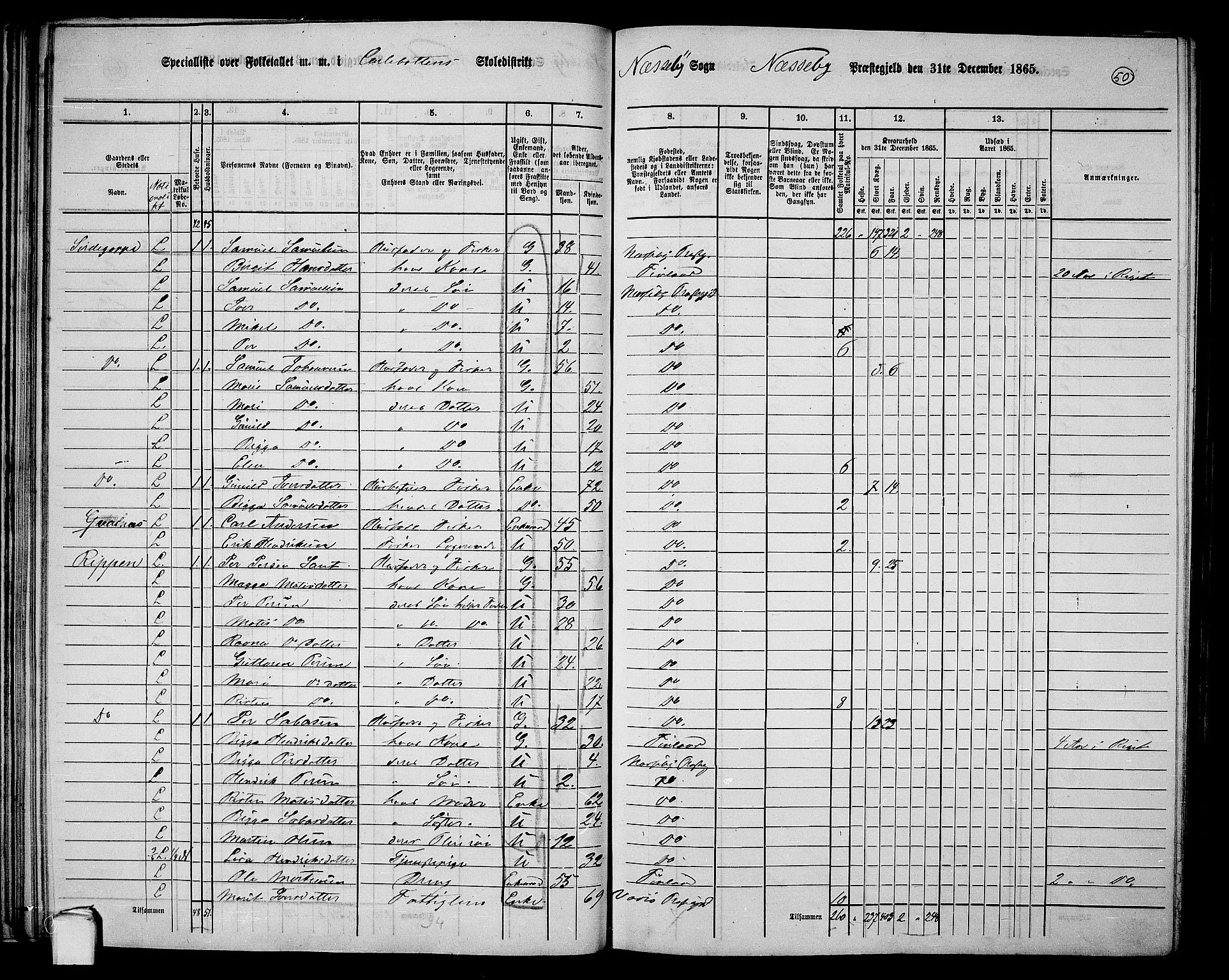 RA, Folketelling 1865 for 2027P Nesseby prestegjeld, 1865, s. 40