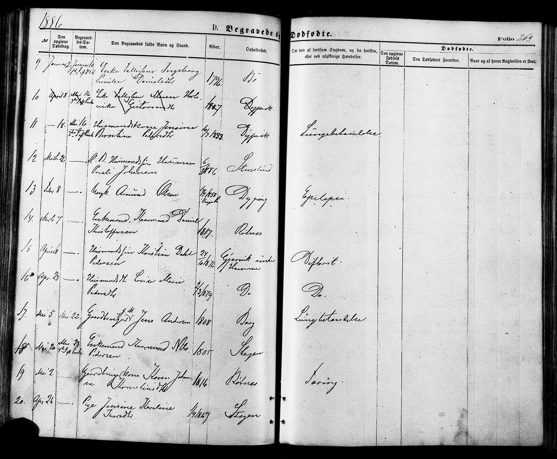 Ministerialprotokoller, klokkerbøker og fødselsregistre - Nordland, AV/SAT-A-1459/855/L0802: Ministerialbok nr. 855A10, 1875-1886, s. 263