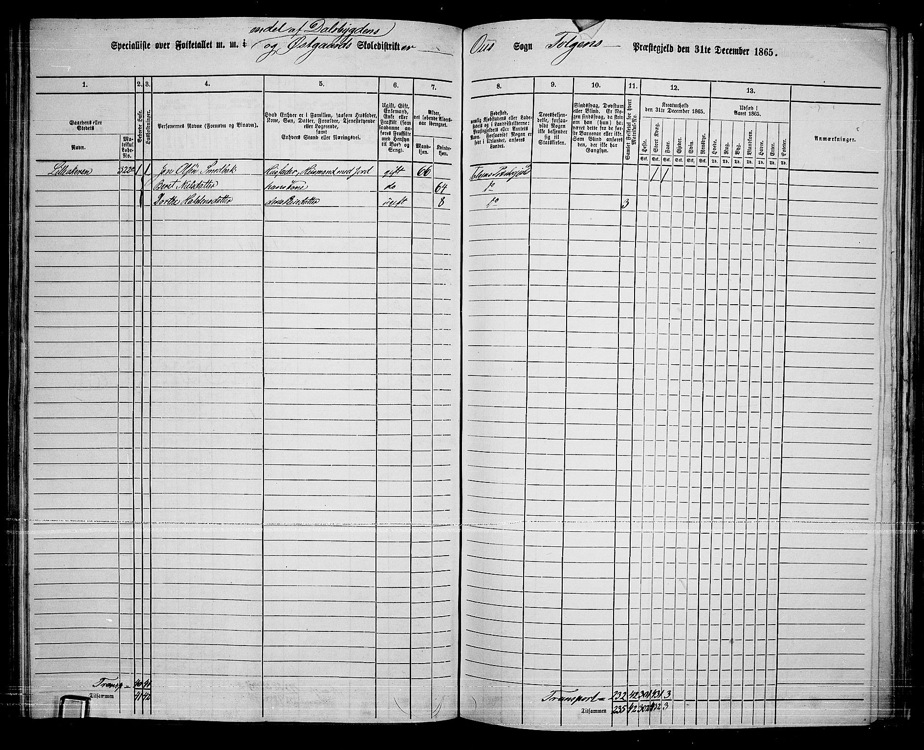 RA, Folketelling 1865 for 0436P Tolga prestegjeld, 1865, s. 115