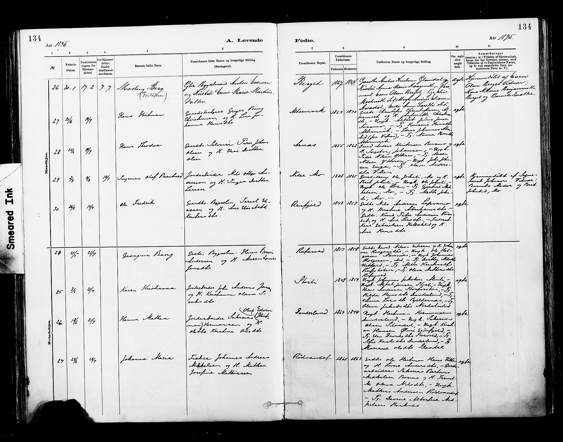 Ministerialprotokoller, klokkerbøker og fødselsregistre - Nordland, AV/SAT-A-1459/827/L0400: Ministerialbok nr. 827A12, 1883-1903, s. 134