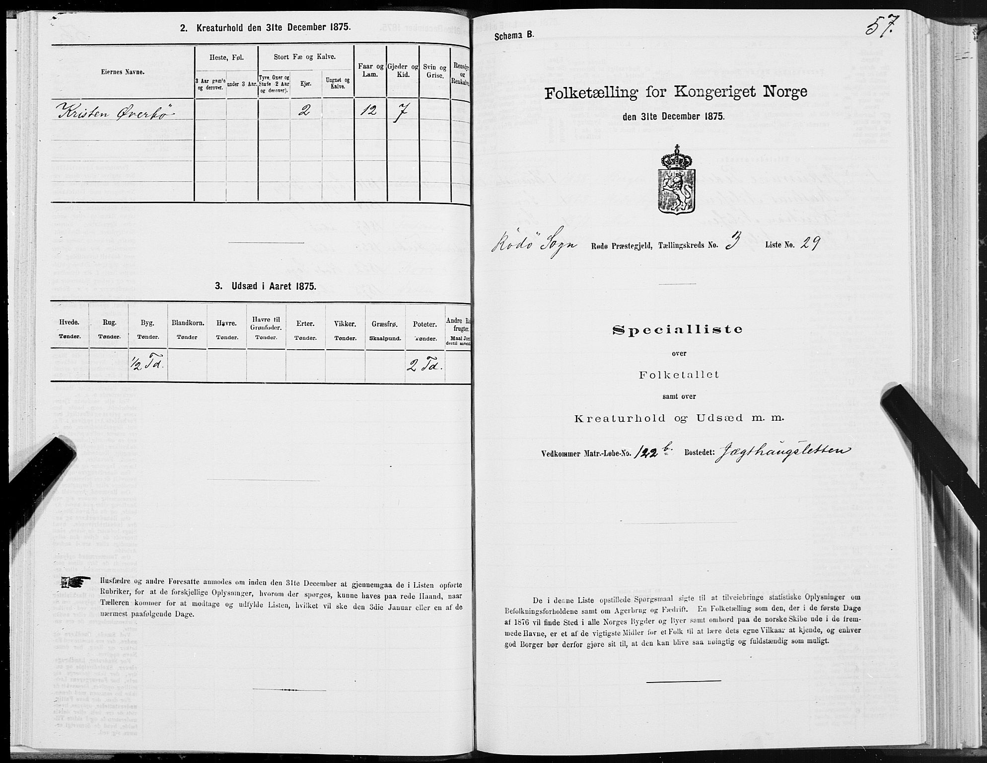 SAT, Folketelling 1875 for 1836P Rødøy prestegjeld, 1875, s. 2057