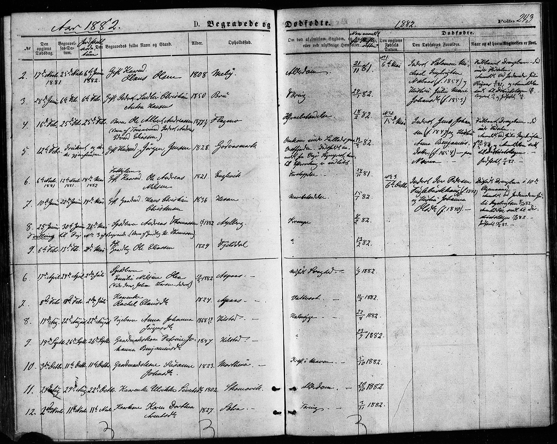 Ministerialprotokoller, klokkerbøker og fødselsregistre - Nordland, AV/SAT-A-1459/814/L0225: Ministerialbok nr. 814A06, 1875-1885, s. 243