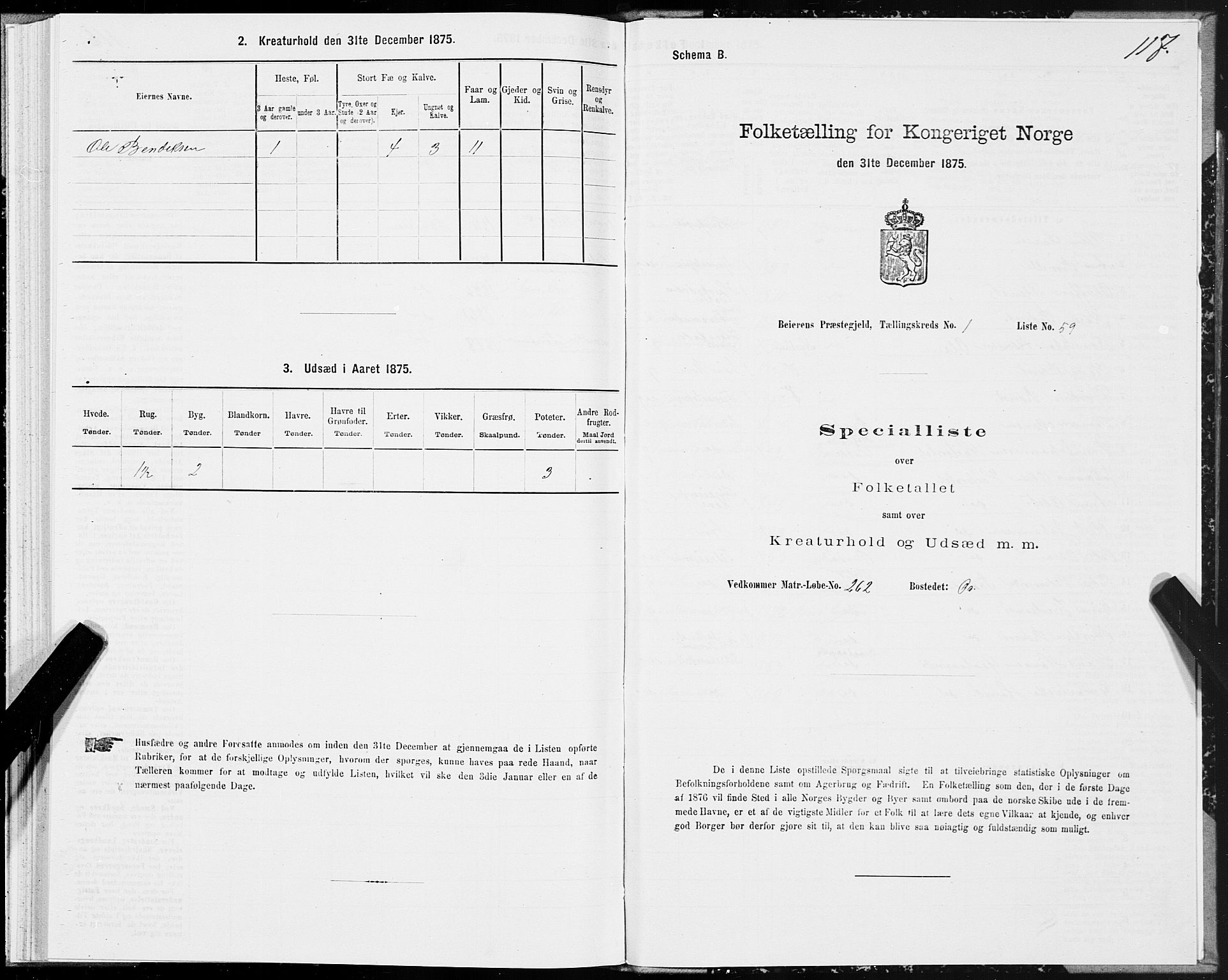 SAT, Folketelling 1875 for 1839P Beiarn prestegjeld, 1875, s. 1117