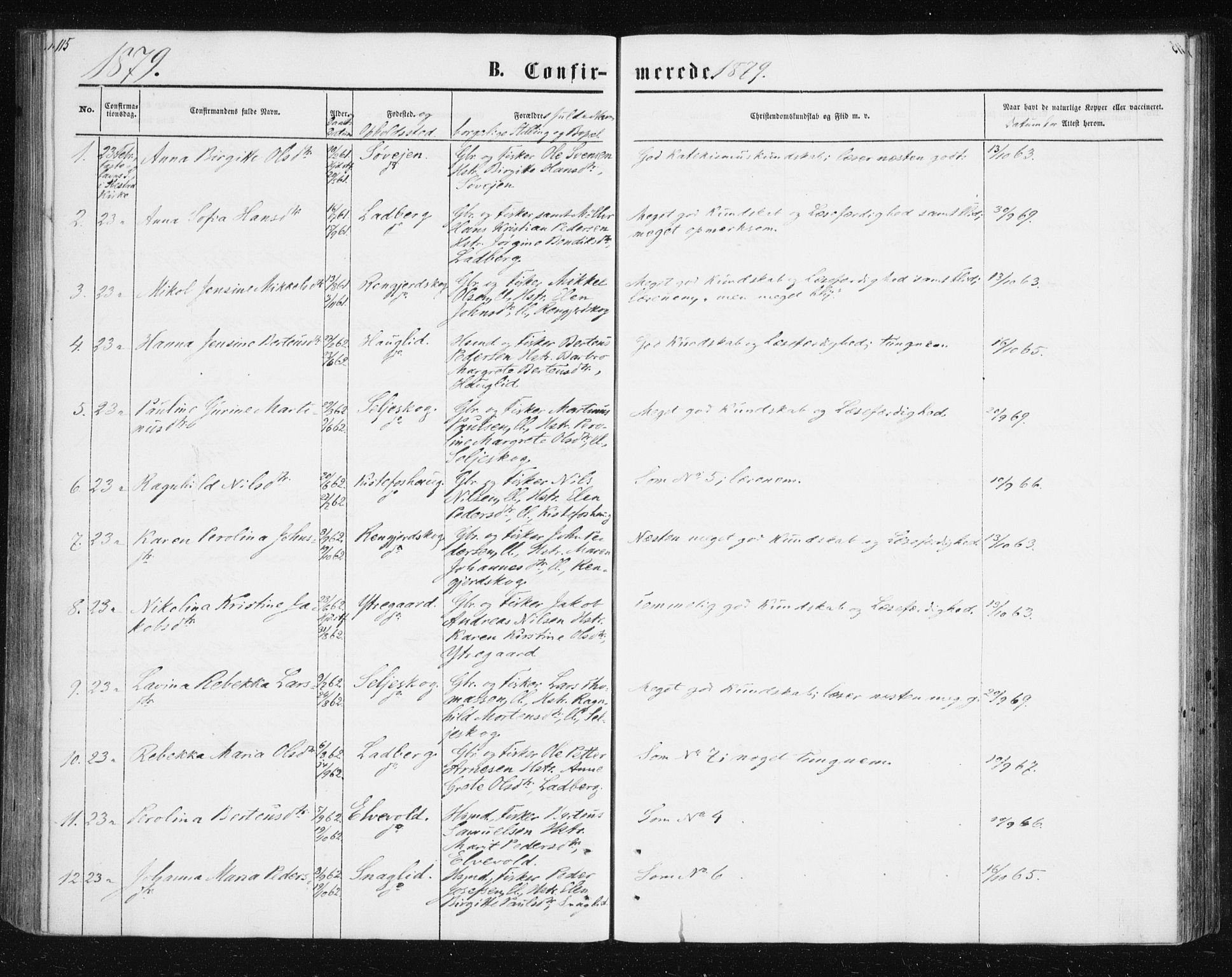 Ibestad sokneprestembete, AV/SATØ-S-0077/H/Ha/Hab/L0013klokker: Klokkerbok nr. 13, 1865-1879, s. 115