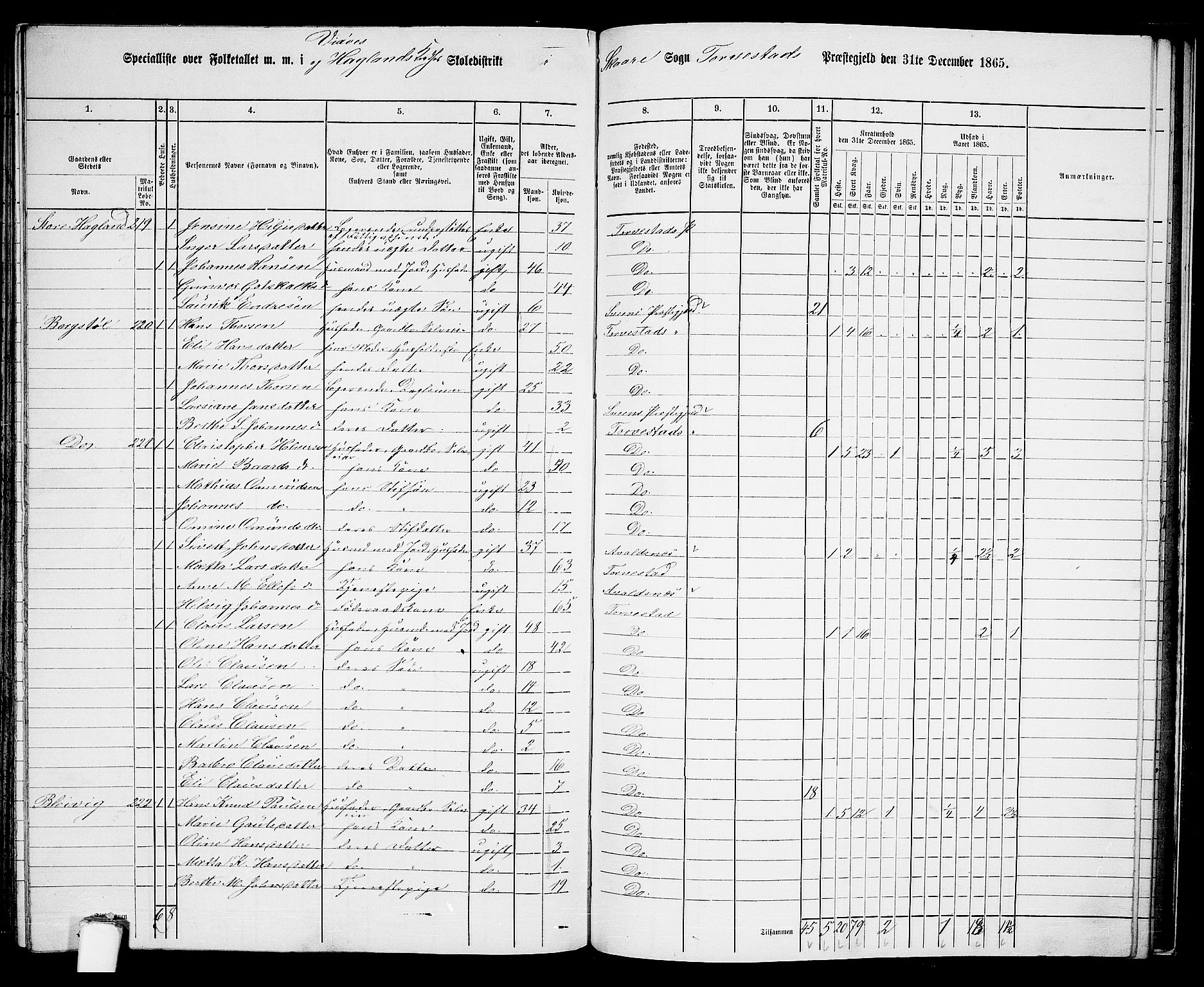 RA, Folketelling 1865 for 1152L Torvastad prestegjeld, Torvastad sokn, Skåre sokn og Utsira sokn, 1865, s. 132