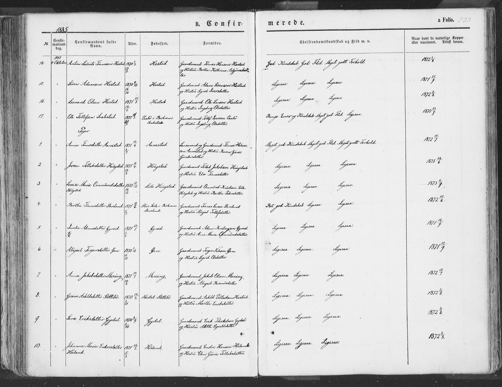 Helleland sokneprestkontor, AV/SAST-A-101810: Ministerialbok nr. A 7.1, 1863-1886, s. 233