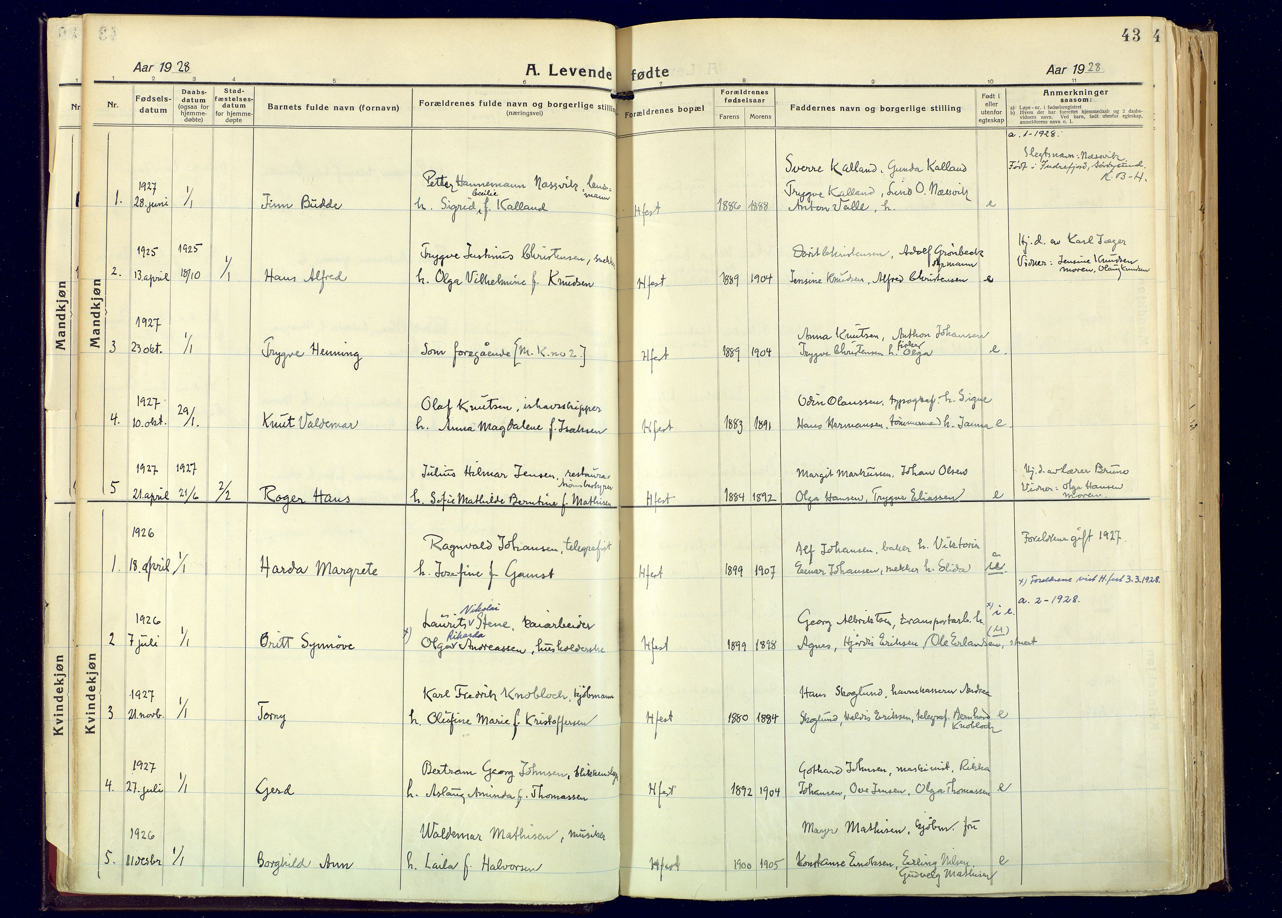 Hammerfest sokneprestkontor, AV/SATØ-S-1347/H/Ha/L0017.kirke: Ministerialbok nr. 17, 1923-1933, s. 43