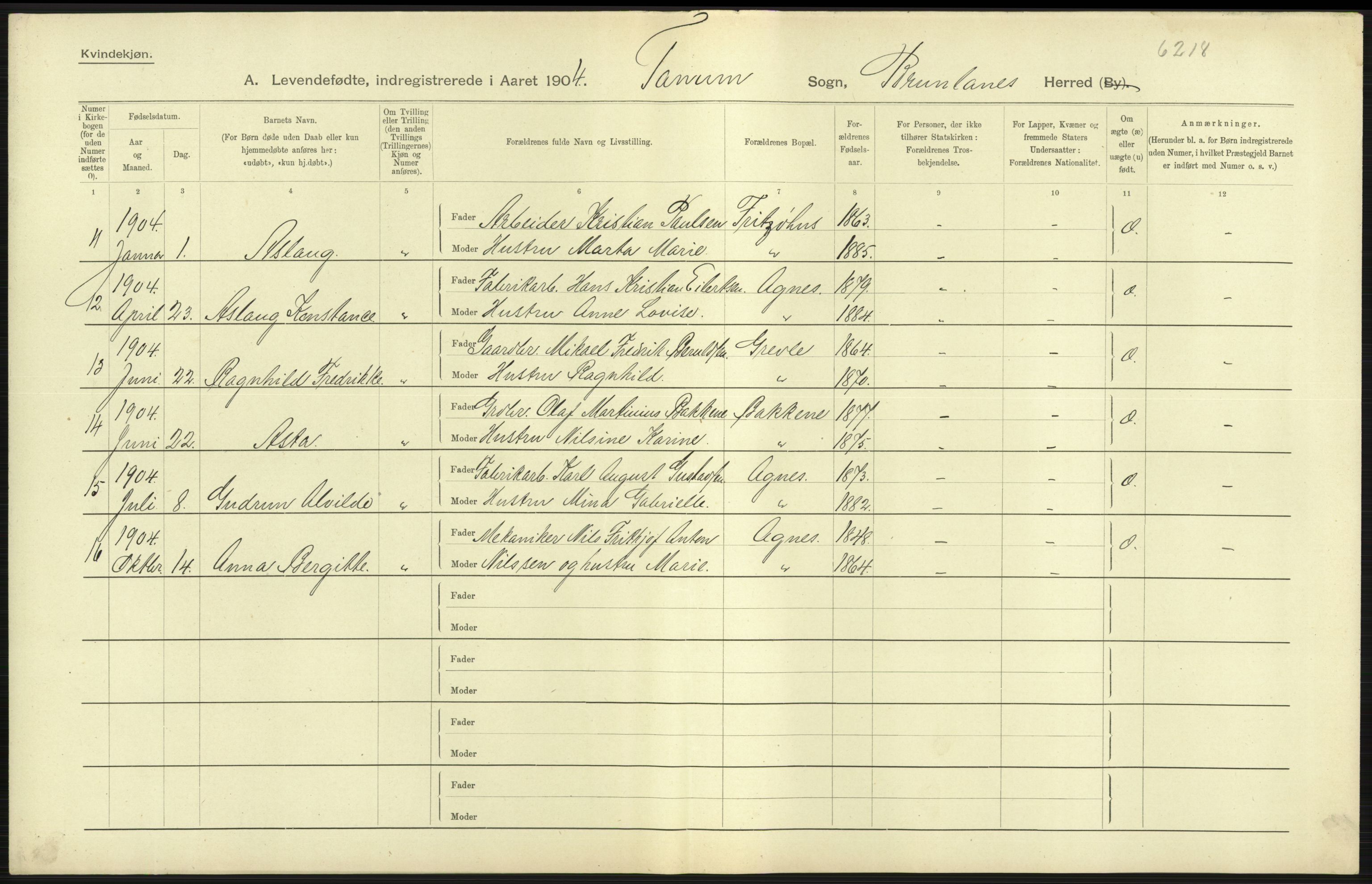 Statistisk sentralbyrå, Sosiodemografiske emner, Befolkning, AV/RA-S-2228/D/Df/Dfa/Dfab/L0008: Jarlsberg og Larvig amt: Fødte, gifte, døde, 1904, s. 57