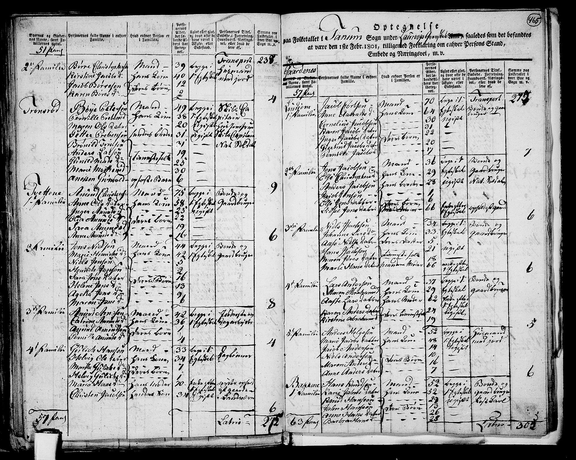 RA, Folketelling 1801 for 0726P Brunlanes prestegjeld, 1801, s. 464b-465a