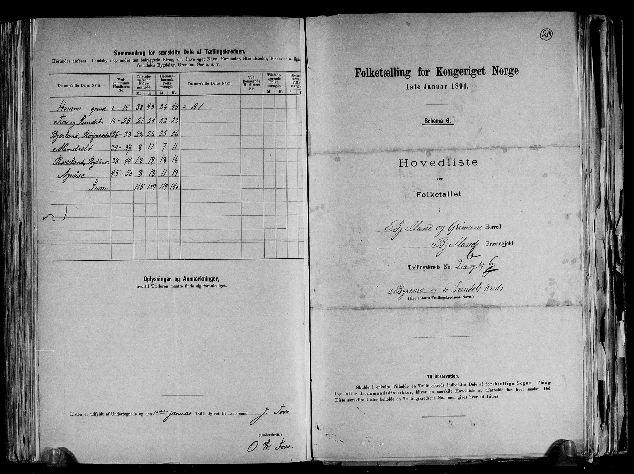 RA, Folketelling 1891 for 1024 Bjelland og Grindheim herred, 1891, s. 12