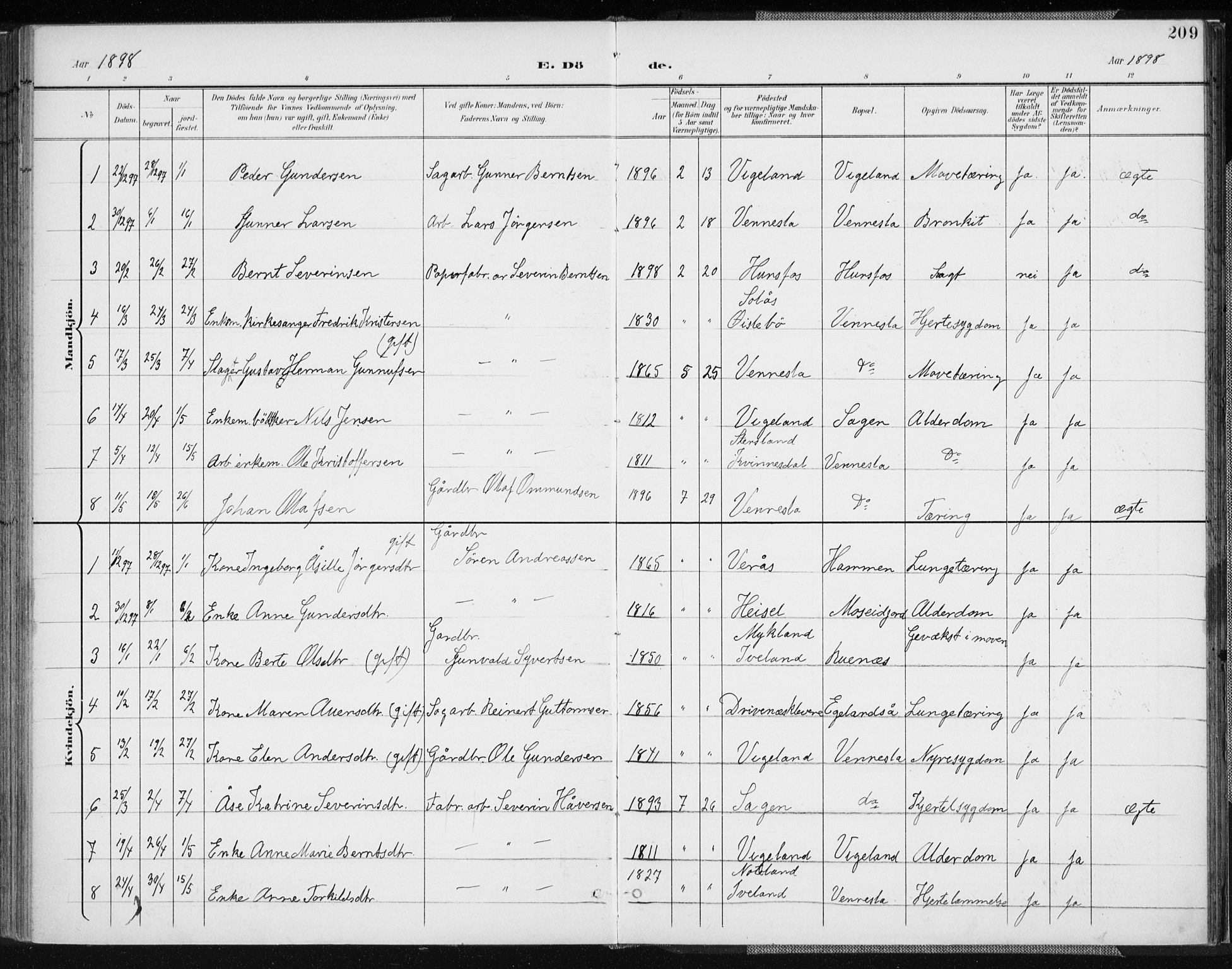 Vennesla sokneprestkontor, AV/SAK-1111-0045/Fa/Fab/L0005: Ministerialbok nr. A 5, 1897-1909, s. 209