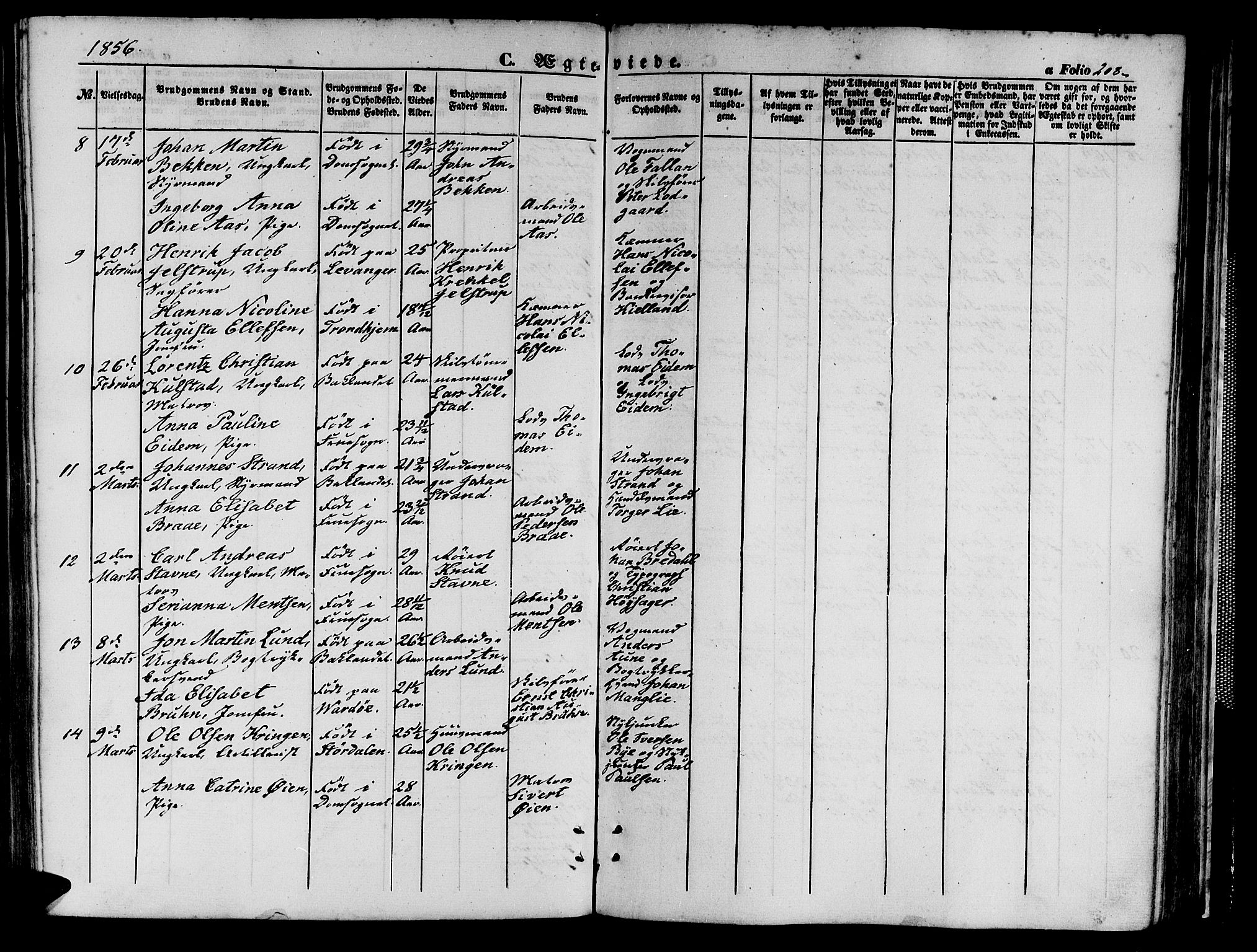 Ministerialprotokoller, klokkerbøker og fødselsregistre - Sør-Trøndelag, SAT/A-1456/602/L0138: Klokkerbok nr. 602C06, 1853-1858, s. 208