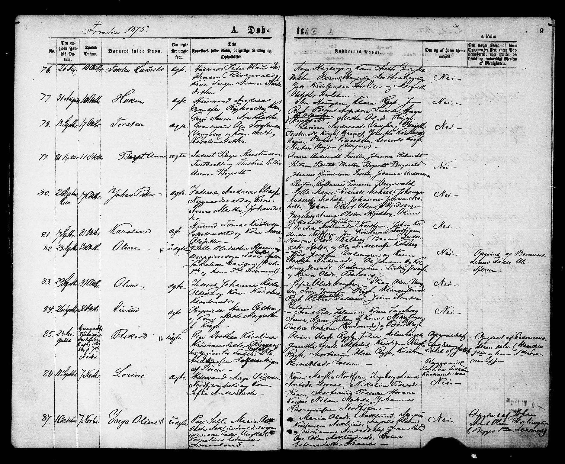 Ministerialprotokoller, klokkerbøker og fødselsregistre - Nord-Trøndelag, AV/SAT-A-1458/713/L0118: Ministerialbok nr. 713A08 /1, 1875-1877, s. 9