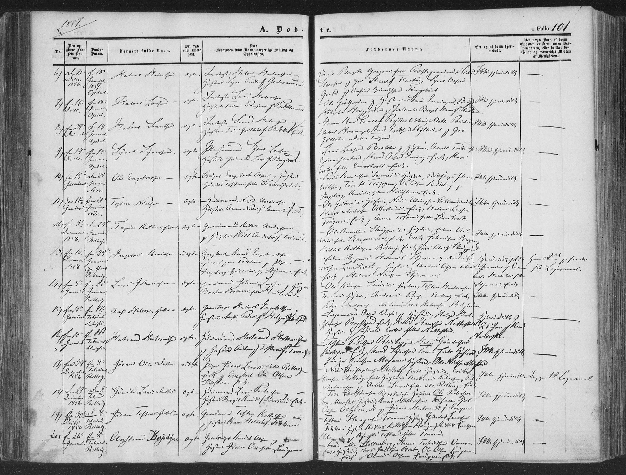 Rollag kirkebøker, AV/SAKO-A-240/F/Fa/L0008: Ministerialbok nr. I 8, 1847-1860, s. 101