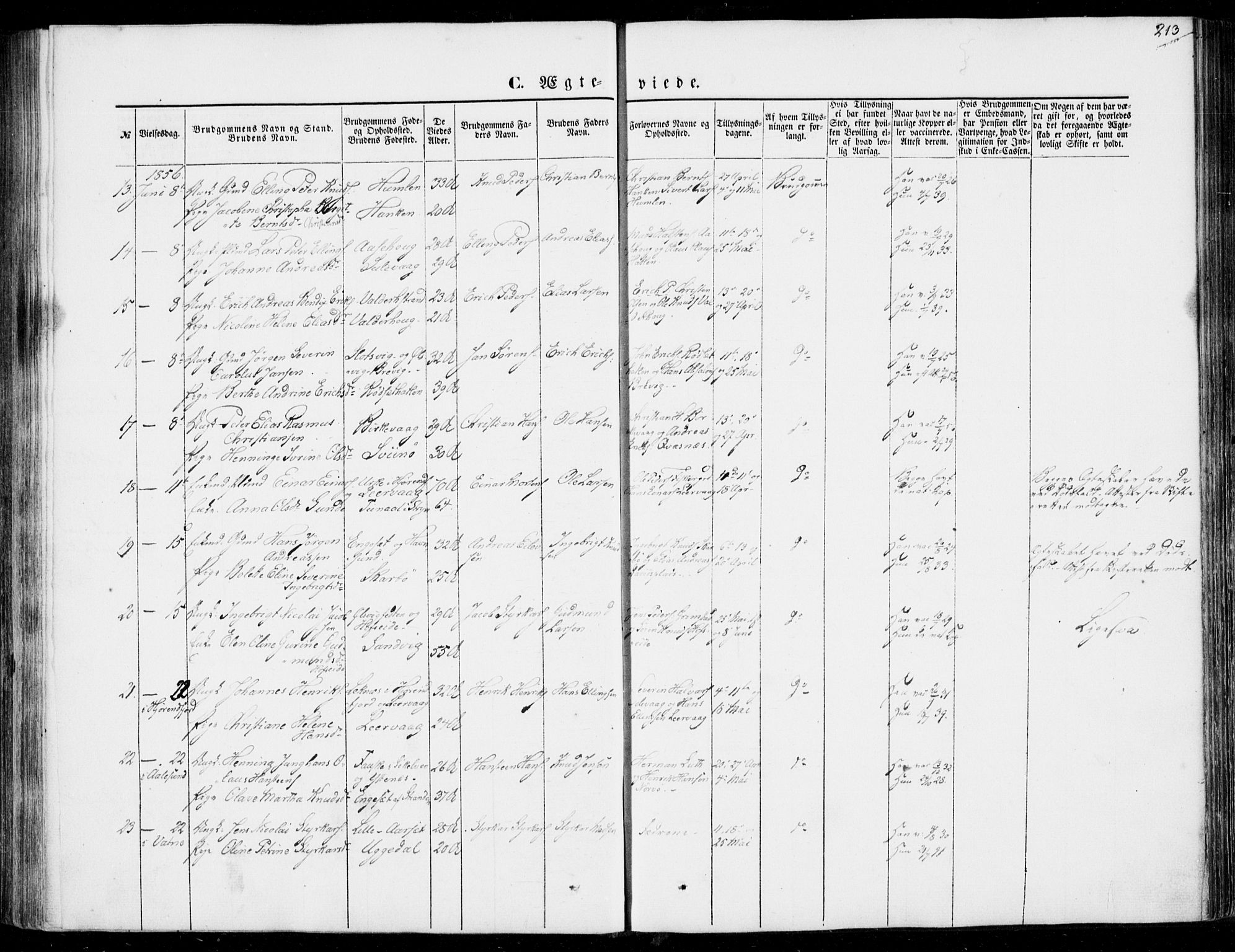 Ministerialprotokoller, klokkerbøker og fødselsregistre - Møre og Romsdal, AV/SAT-A-1454/528/L0397: Ministerialbok nr. 528A08, 1848-1858, s. 213