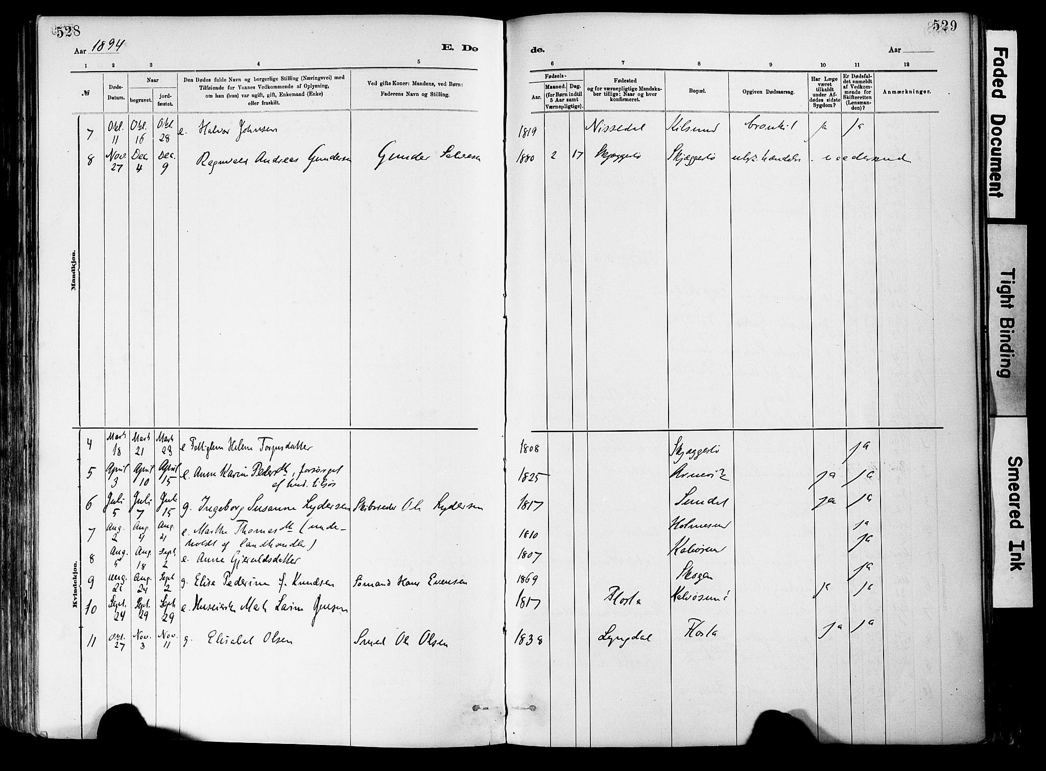Dypvåg sokneprestkontor, SAK/1111-0007/F/Fa/Fab/L0001: Ministerialbok nr. A 1, 1885-1912, s. 528-529