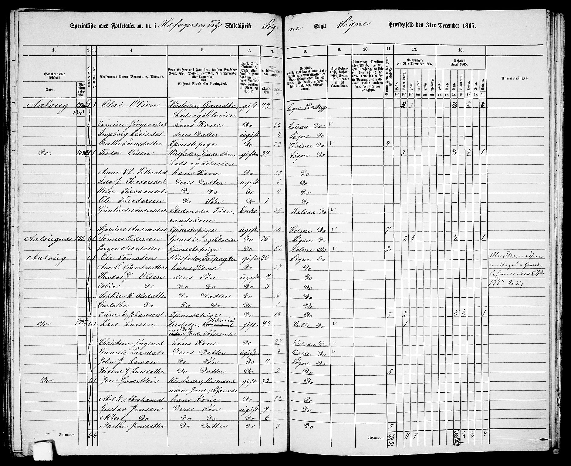 RA, Folketelling 1865 for 1018P Søgne prestegjeld, 1865, s. 94