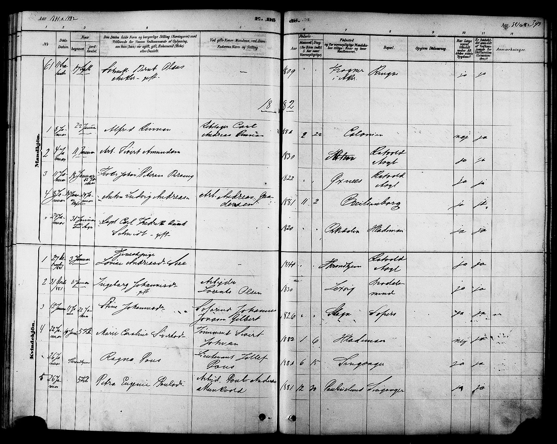 Ministerialprotokoller, klokkerbøker og fødselsregistre - Sør-Trøndelag, SAT/A-1456/606/L0294: Ministerialbok nr. 606A09, 1878-1886, s. 393