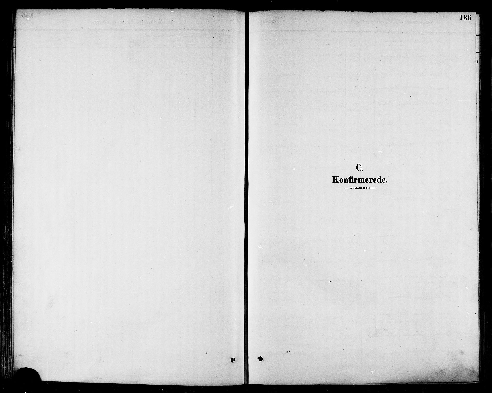 Ministerialprotokoller, klokkerbøker og fødselsregistre - Nordland, SAT/A-1459/874/L1060: Ministerialbok nr. 874A04, 1890-1899, s. 136