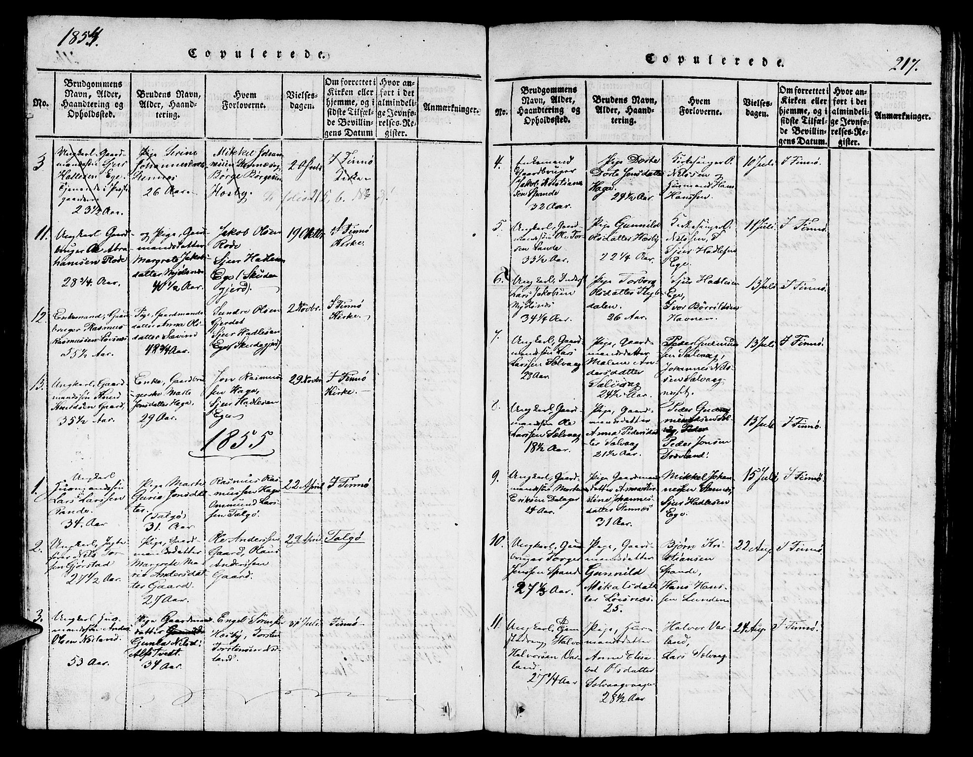 Finnøy sokneprestkontor, AV/SAST-A-101825/H/Ha/Hab/L0001: Klokkerbok nr. B 1, 1816-1856, s. 217