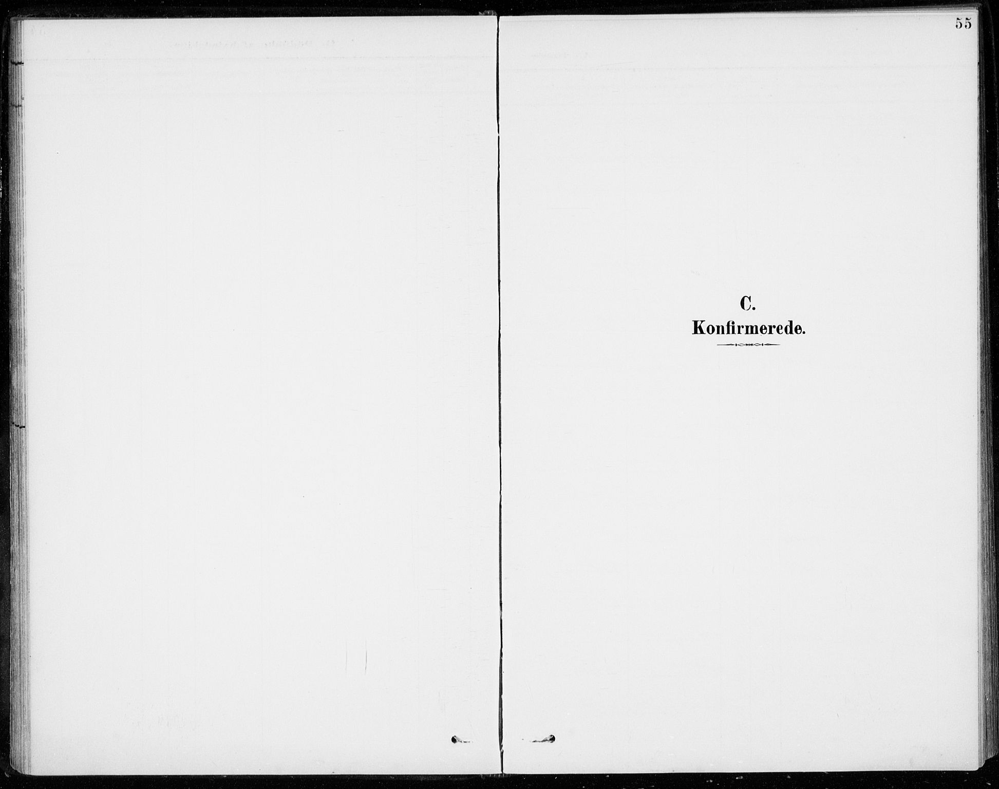 Sigdal kirkebøker, AV/SAKO-A-245/F/Fc/L0002: Ministerialbok nr. III 2, 1894-1911, s. 55