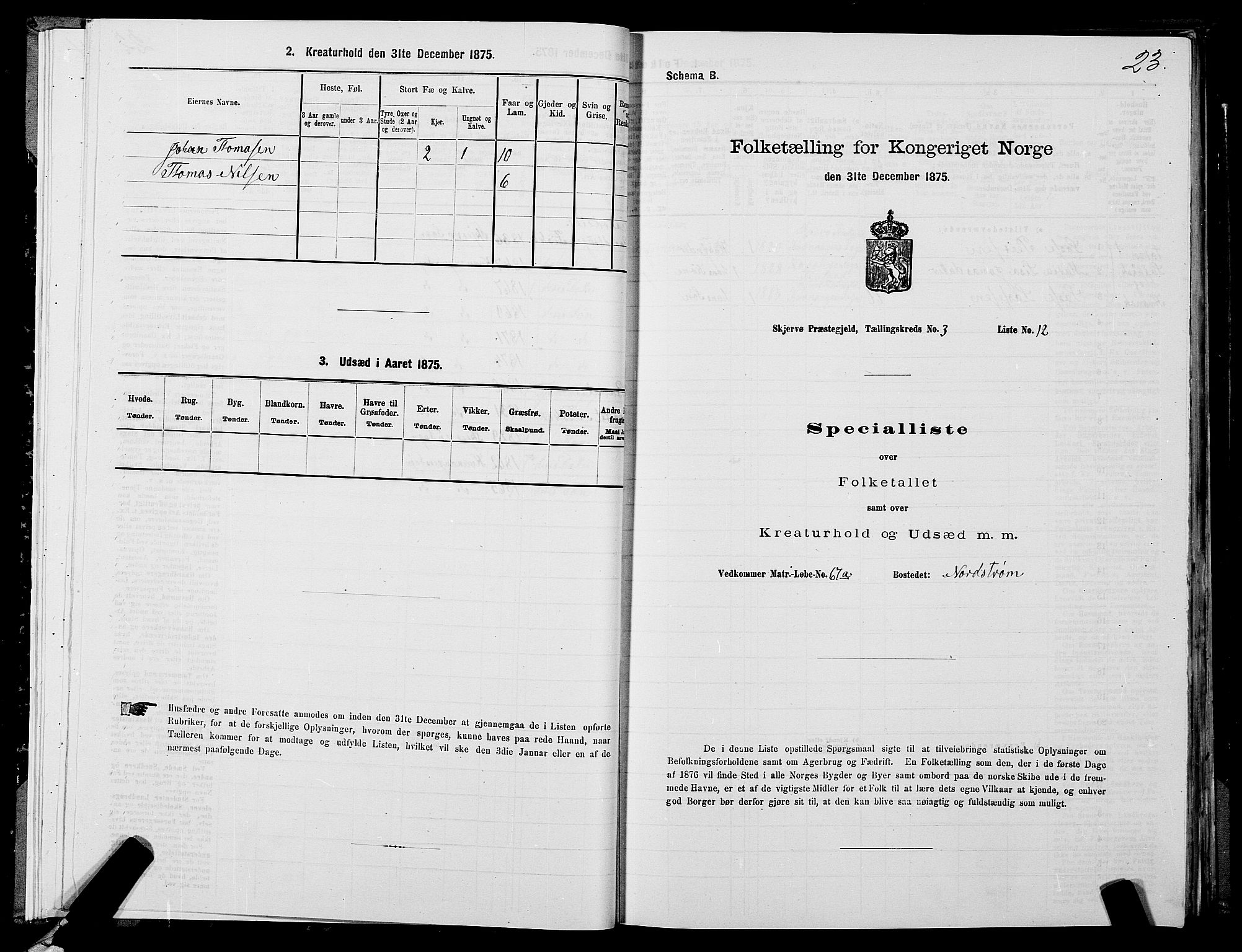 SATØ, Folketelling 1875 for 1941P Skjervøy prestegjeld, 1875, s. 2023