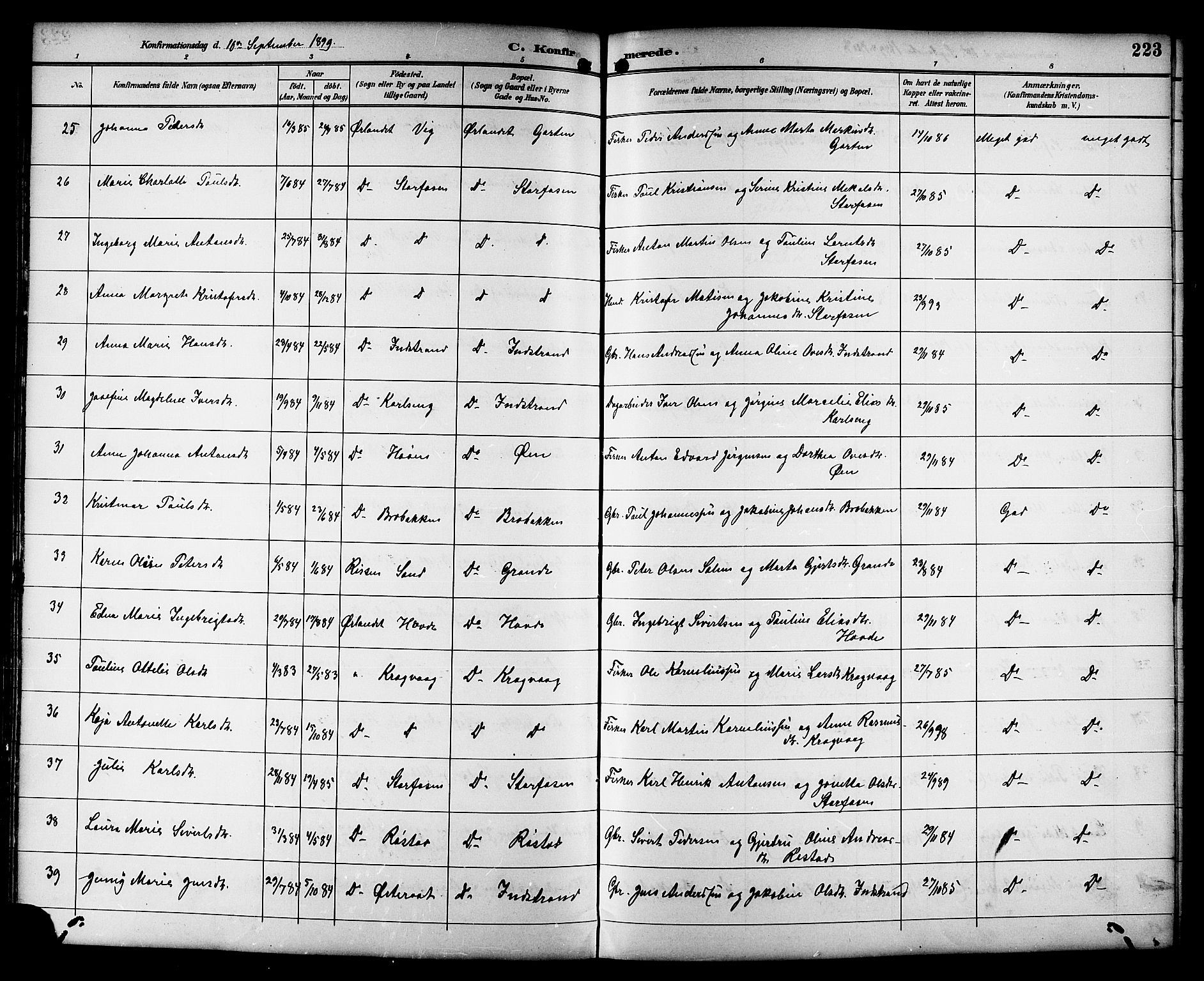 Ministerialprotokoller, klokkerbøker og fødselsregistre - Sør-Trøndelag, SAT/A-1456/659/L0746: Klokkerbok nr. 659C03, 1893-1912, s. 223