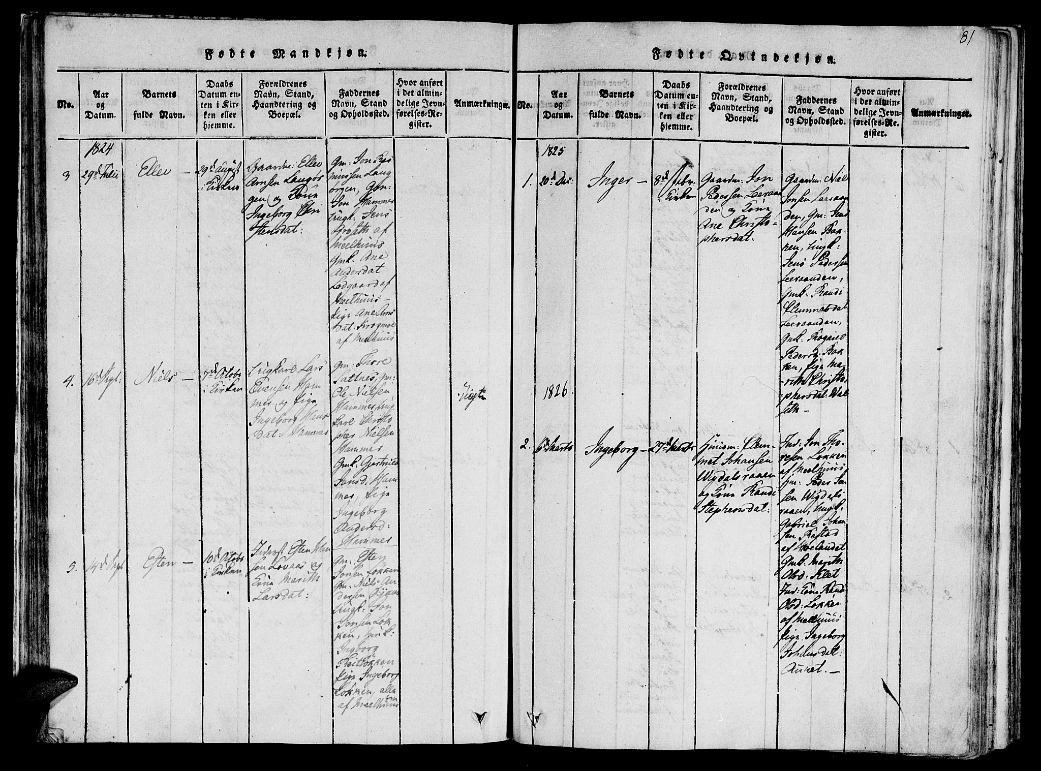 Ministerialprotokoller, klokkerbøker og fødselsregistre - Sør-Trøndelag, SAT/A-1456/612/L0373: Ministerialbok nr. 612A06 /2, 1816-1828, s. 81