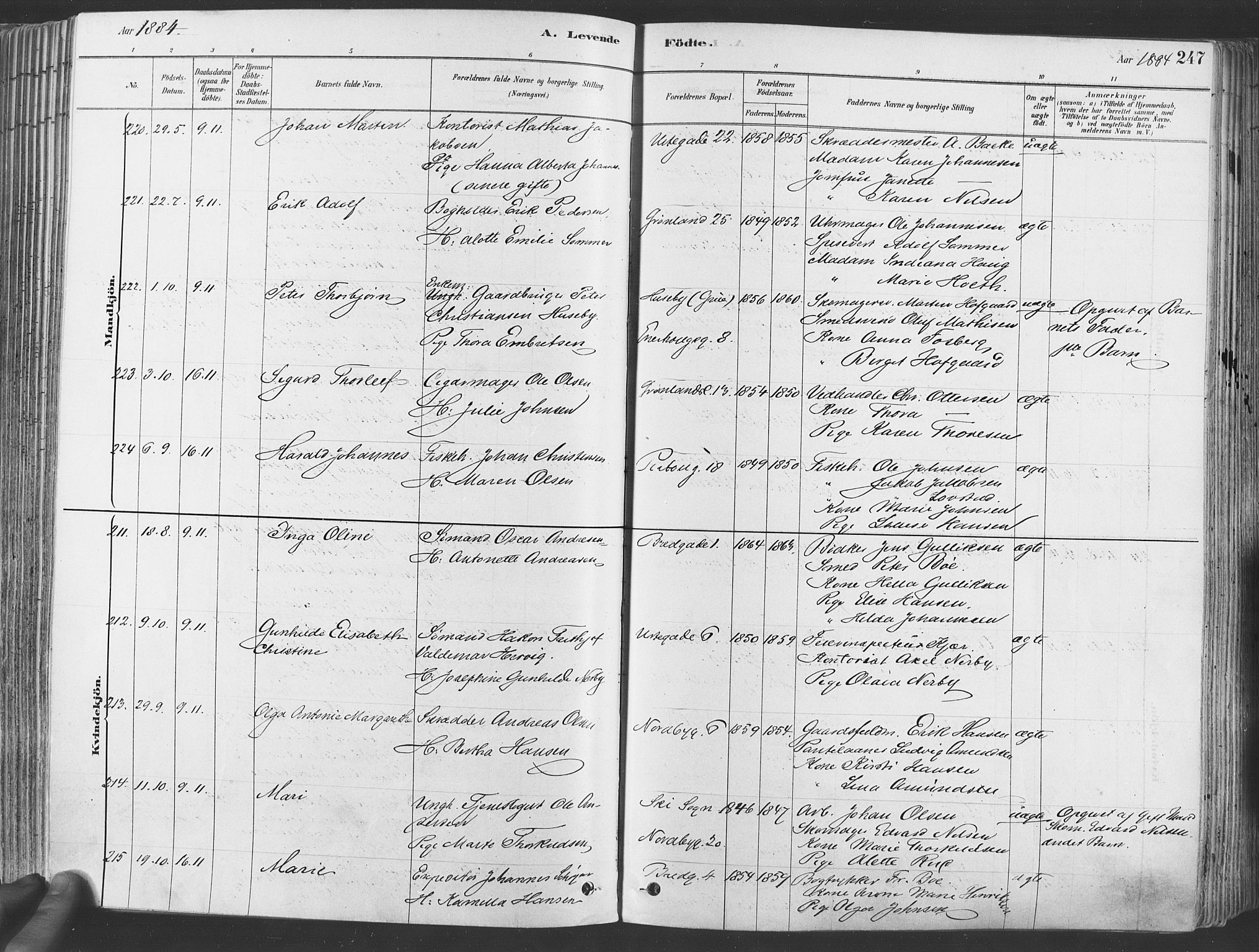 Grønland prestekontor Kirkebøker, SAO/A-10848/F/Fa/L0007: Ministerialbok nr. 7, 1878-1888, s. 247