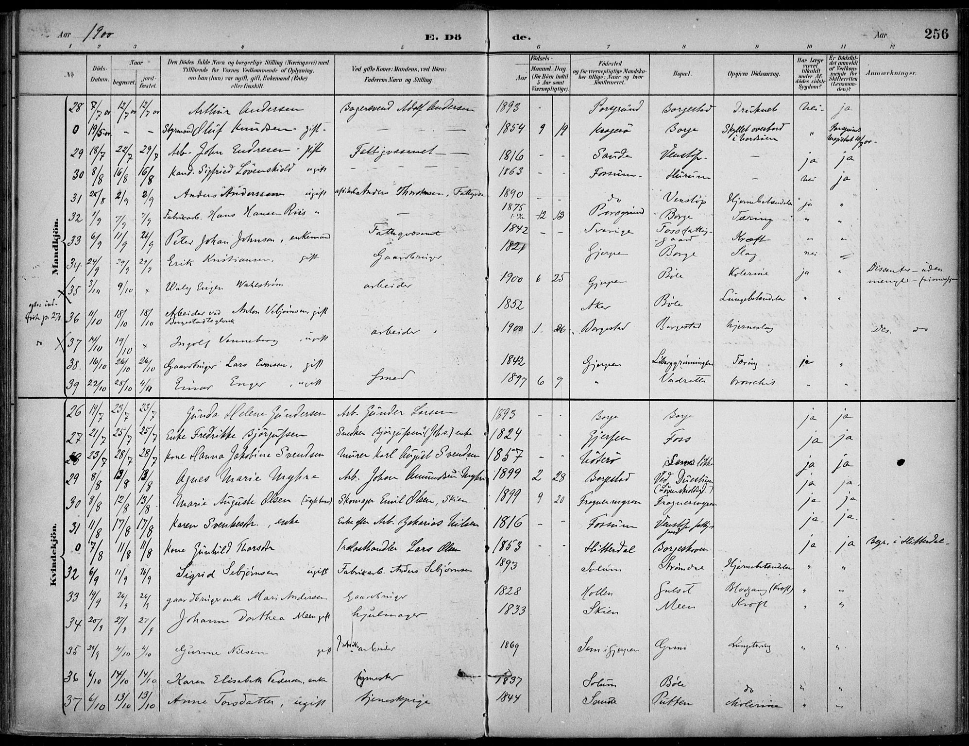 Gjerpen kirkebøker, AV/SAKO-A-265/F/Fa/L0011: Ministerialbok nr. I 11, 1896-1904, s. 256