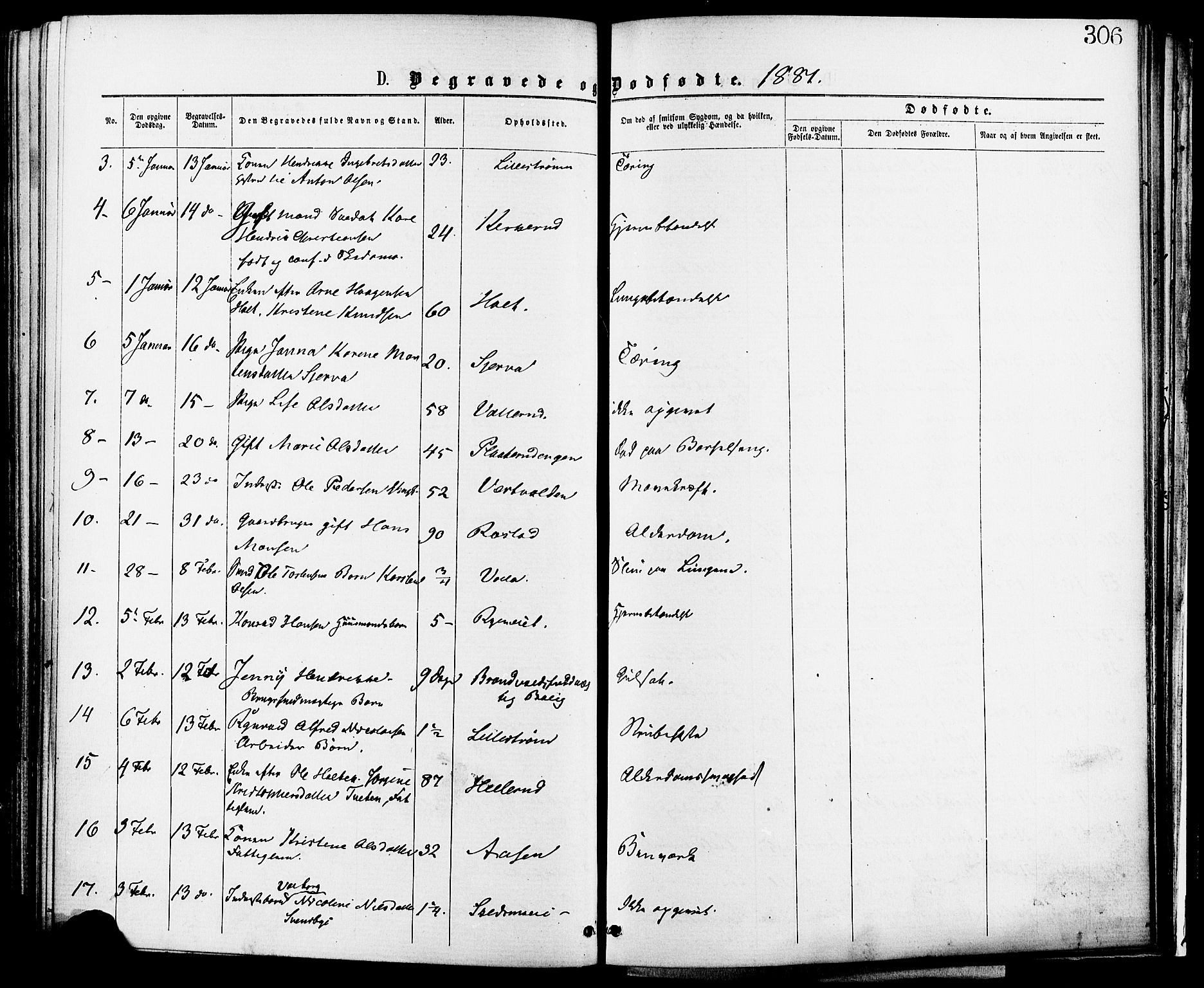 Skedsmo prestekontor Kirkebøker, AV/SAO-A-10033a/F/Fa/L0012: Ministerialbok nr. I 12, 1876-1883, s. 306