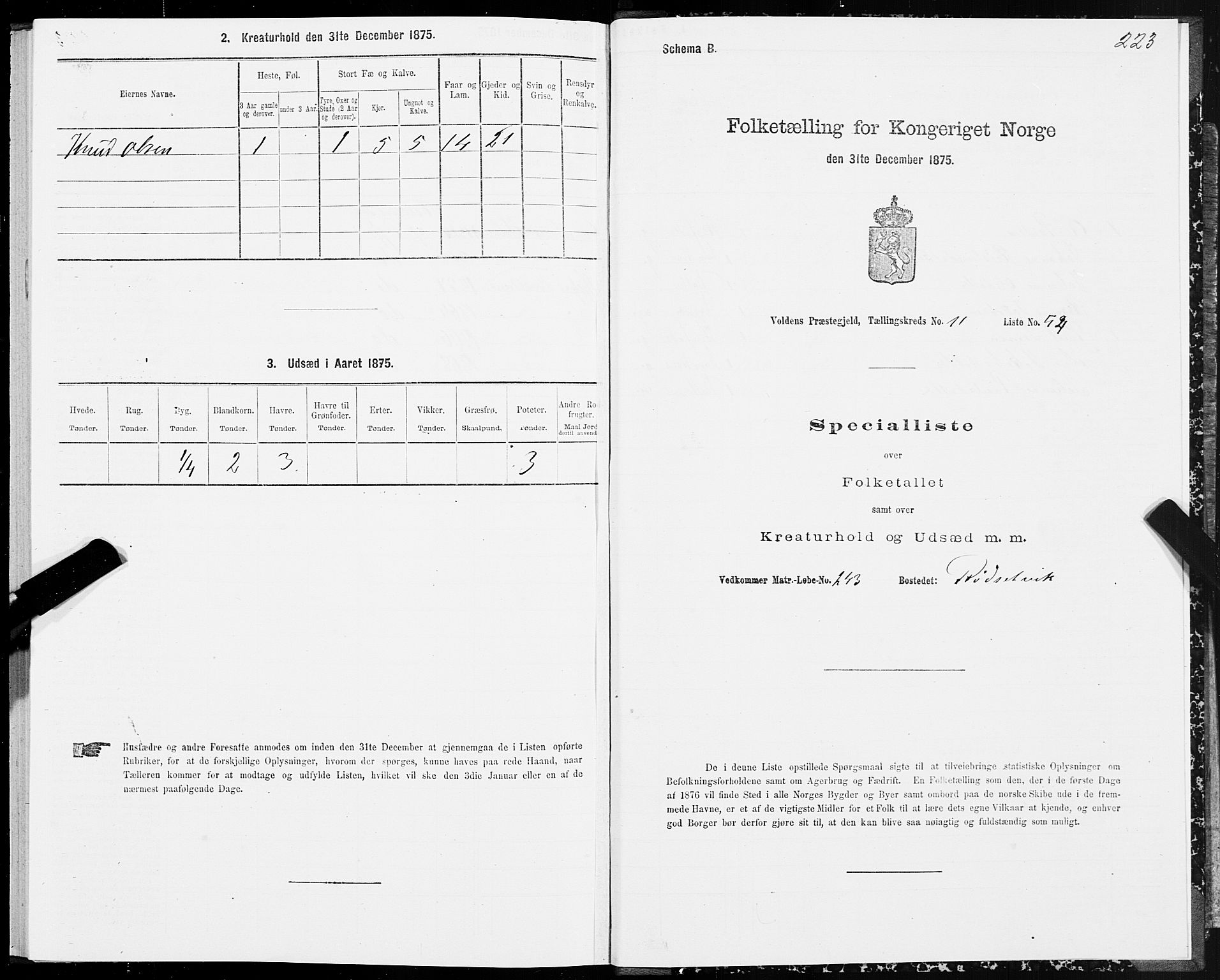 SAT, Folketelling 1875 for 1519P Volda prestegjeld, 1875, s. 6223