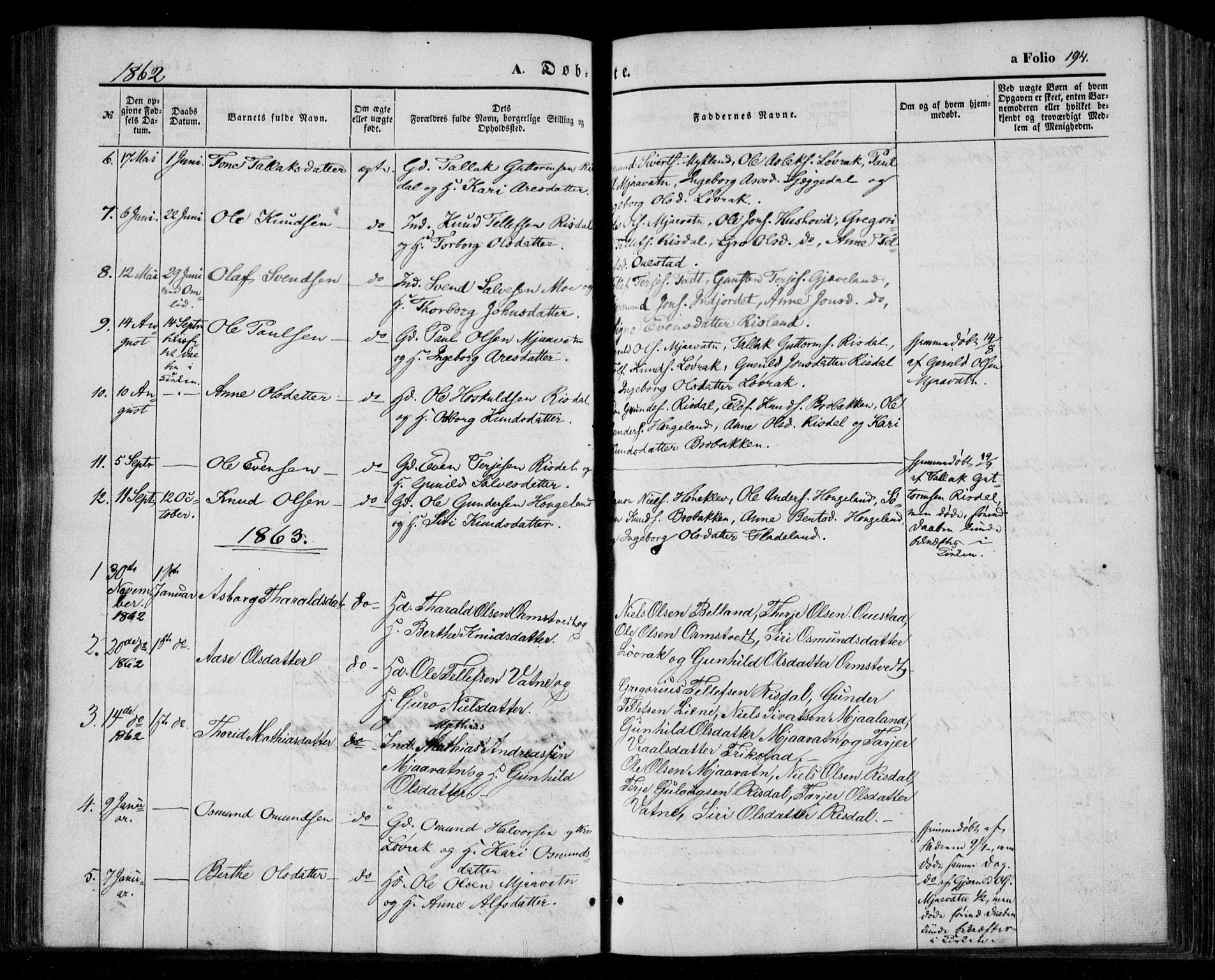 Åmli sokneprestkontor, AV/SAK-1111-0050/F/Fa/Fac/L0008: Ministerialbok nr. A 8, 1852-1869, s. 194