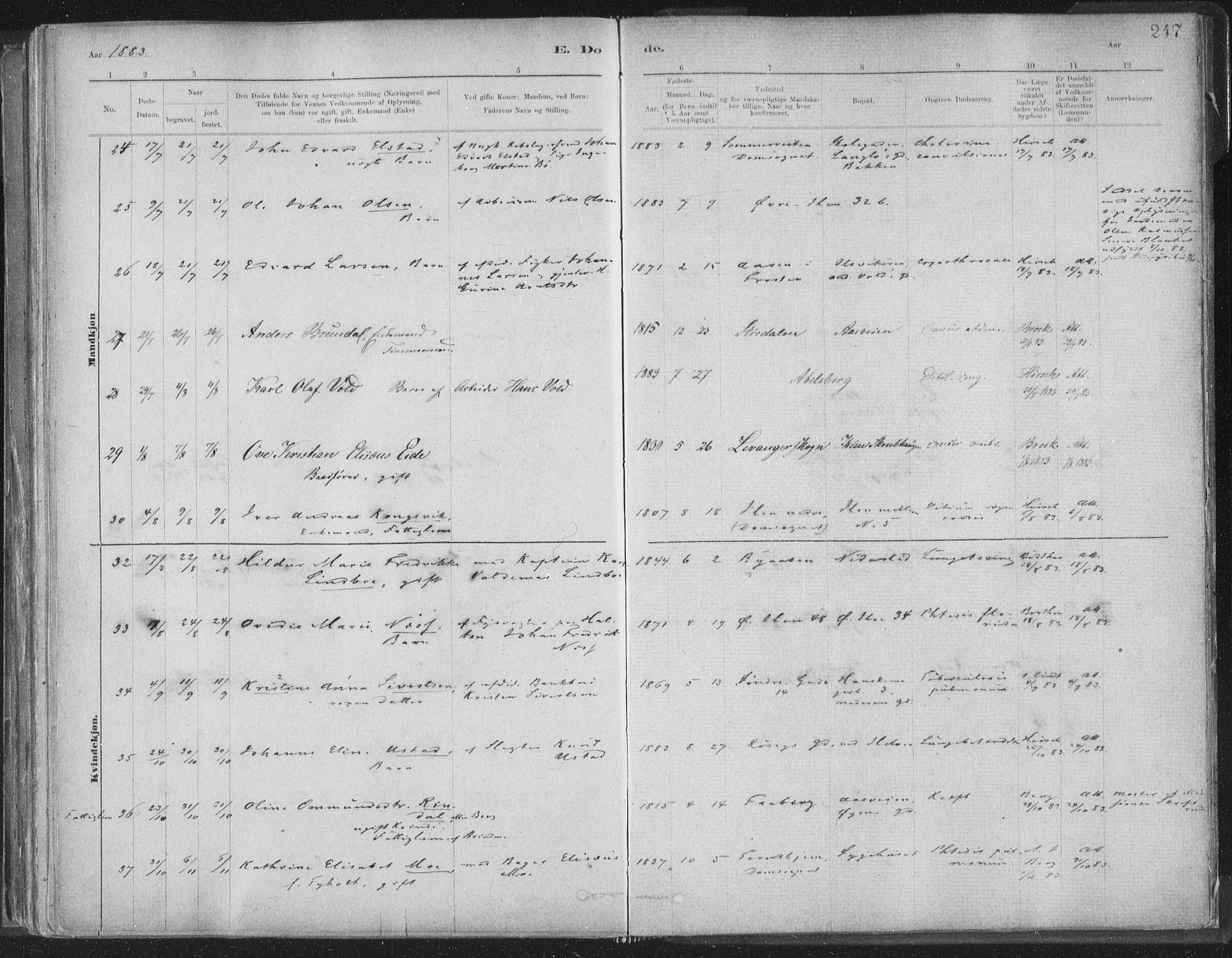 Ministerialprotokoller, klokkerbøker og fødselsregistre - Sør-Trøndelag, SAT/A-1456/603/L0162: Ministerialbok nr. 603A01, 1879-1895, s. 247