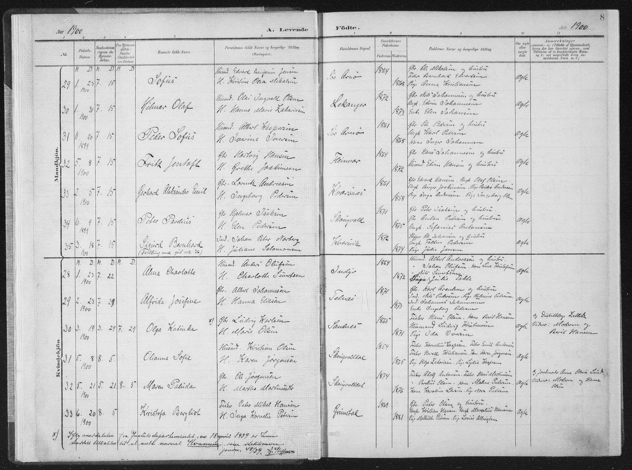 Ministerialprotokoller, klokkerbøker og fødselsregistre - Nordland, AV/SAT-A-1459/805/L0102: Ministerialbok nr. 805A08I, 1900-1909, s. 8