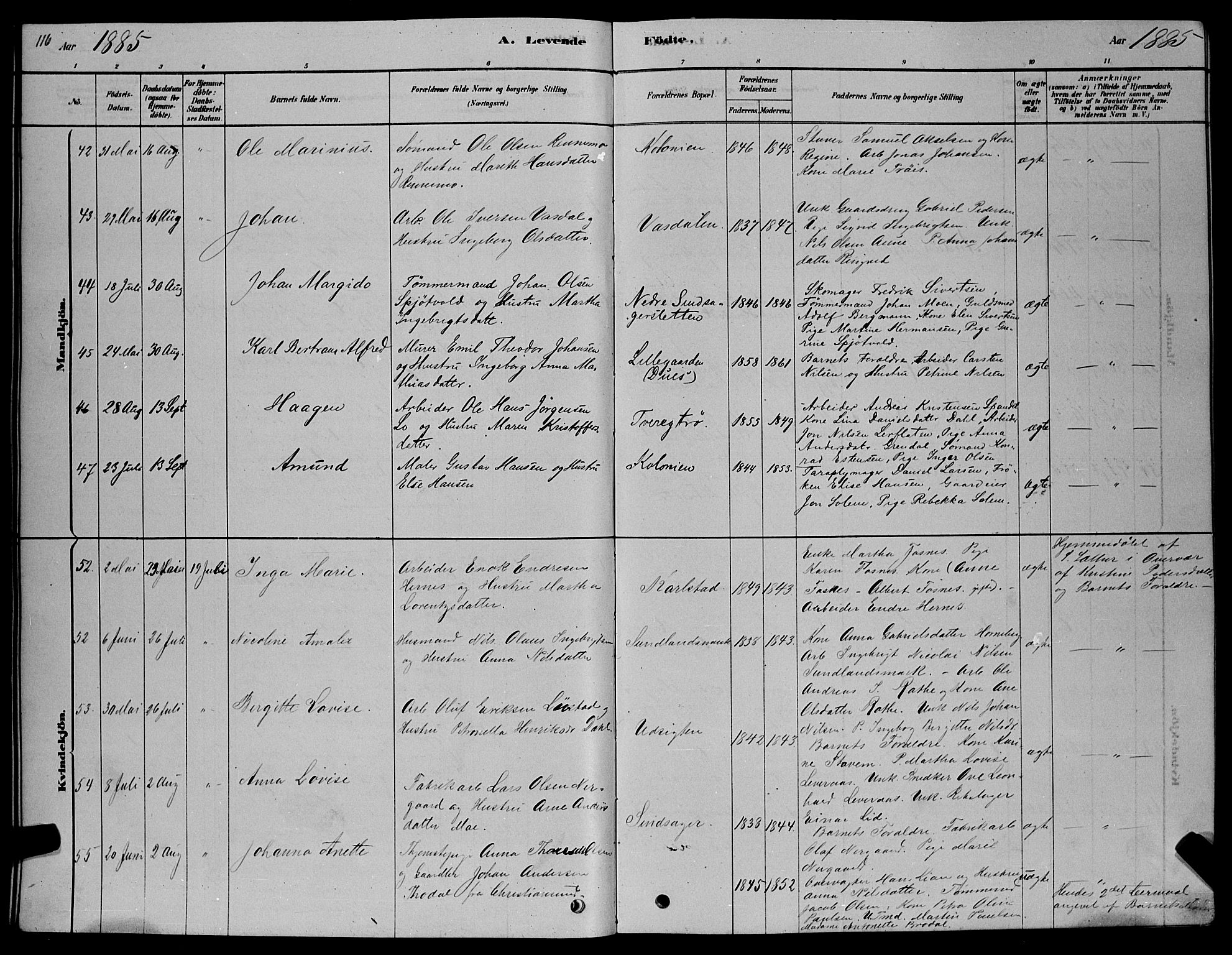 Ministerialprotokoller, klokkerbøker og fødselsregistre - Sør-Trøndelag, SAT/A-1456/606/L0312: Klokkerbok nr. 606C08, 1878-1894, s. 116