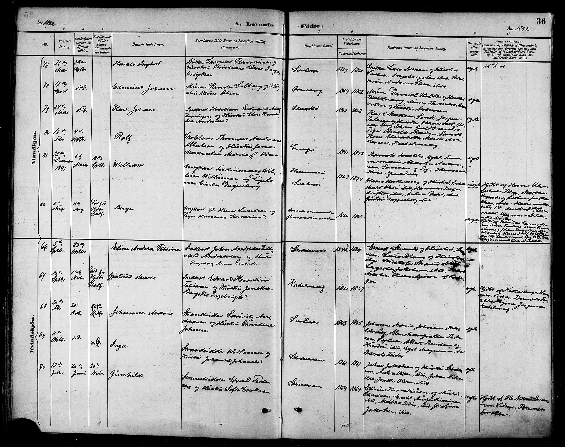 Ministerialprotokoller, klokkerbøker og fødselsregistre - Nordland, SAT/A-1459/874/L1060: Ministerialbok nr. 874A04, 1890-1899, s. 36