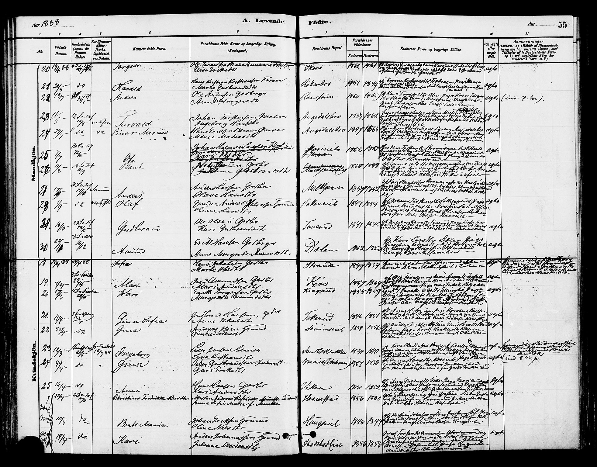 Gran prestekontor, AV/SAH-PREST-112/H/Ha/Haa/L0015: Ministerialbok nr. 15, 1880-1888, s. 55