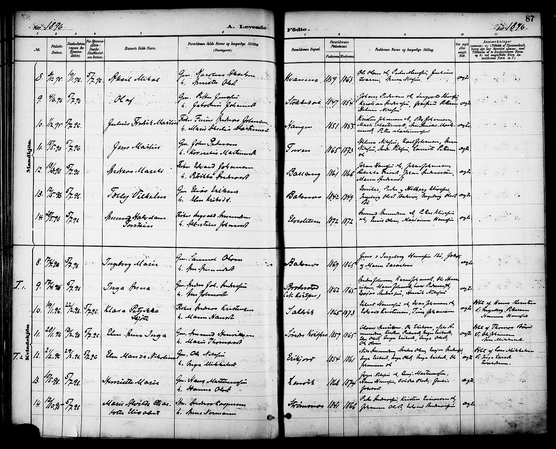 Ministerialprotokoller, klokkerbøker og fødselsregistre - Nordland, AV/SAT-A-1459/863/L0898: Ministerialbok nr. 863A10, 1886-1897, s. 87