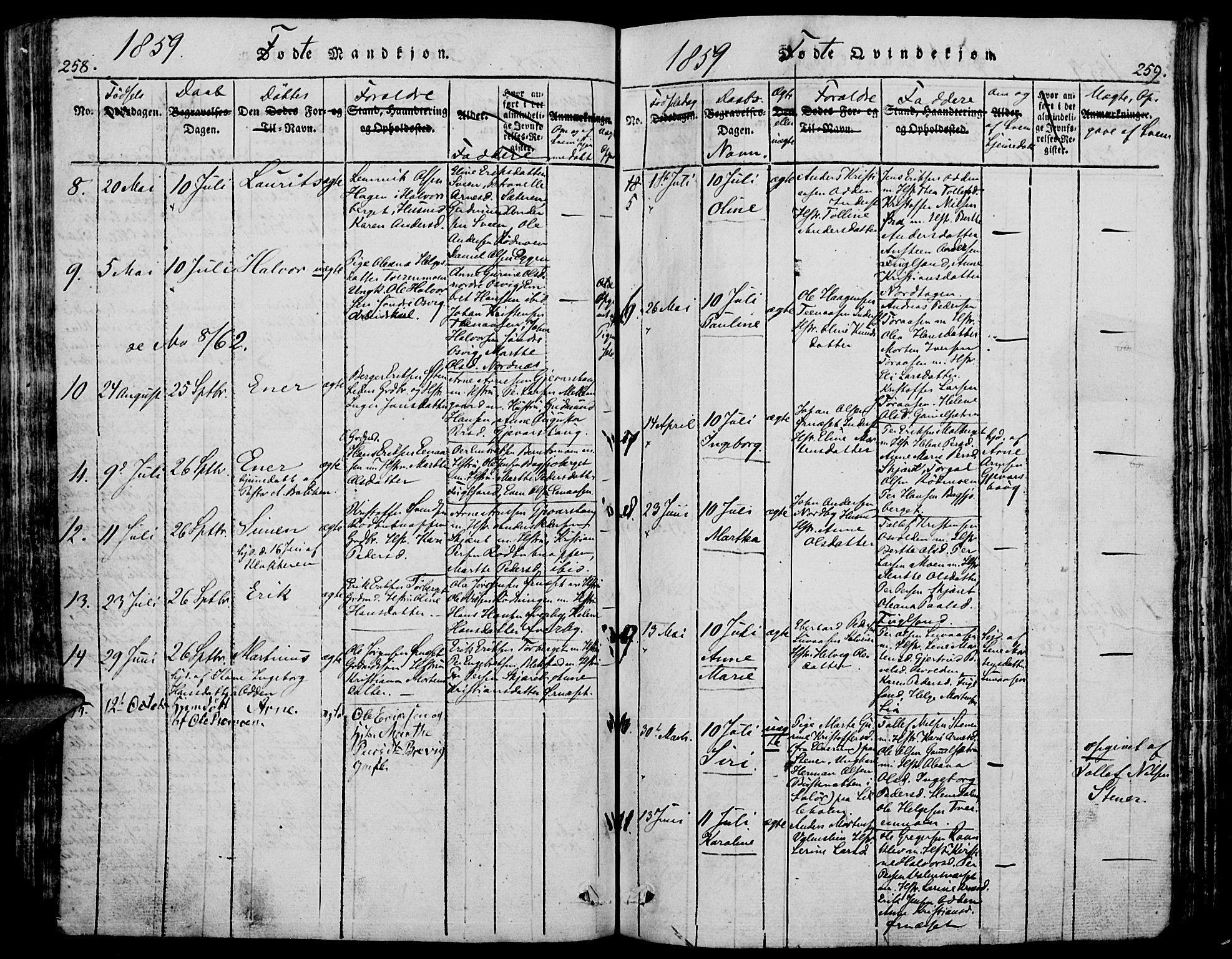 Trysil prestekontor, AV/SAH-PREST-046/H/Ha/Hab/L0005: Klokkerbok nr. 5, 1814-1877, s. 258-259