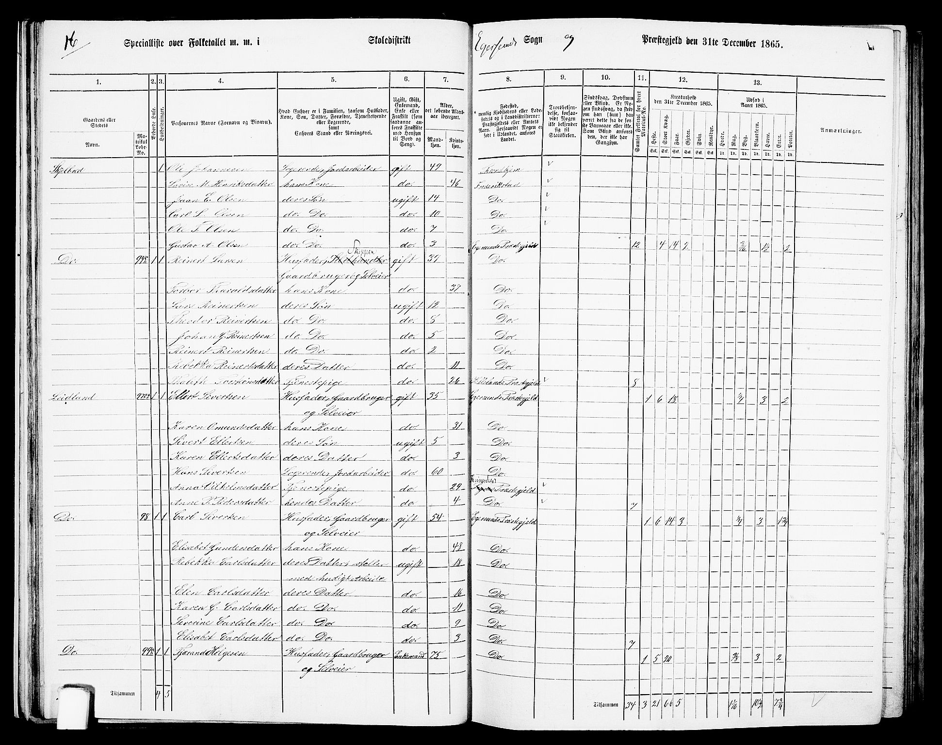 RA, Folketelling 1865 for 1116L Eigersund prestegjeld, Eigersund landsokn og Ogna sokn, 1865, s. 33