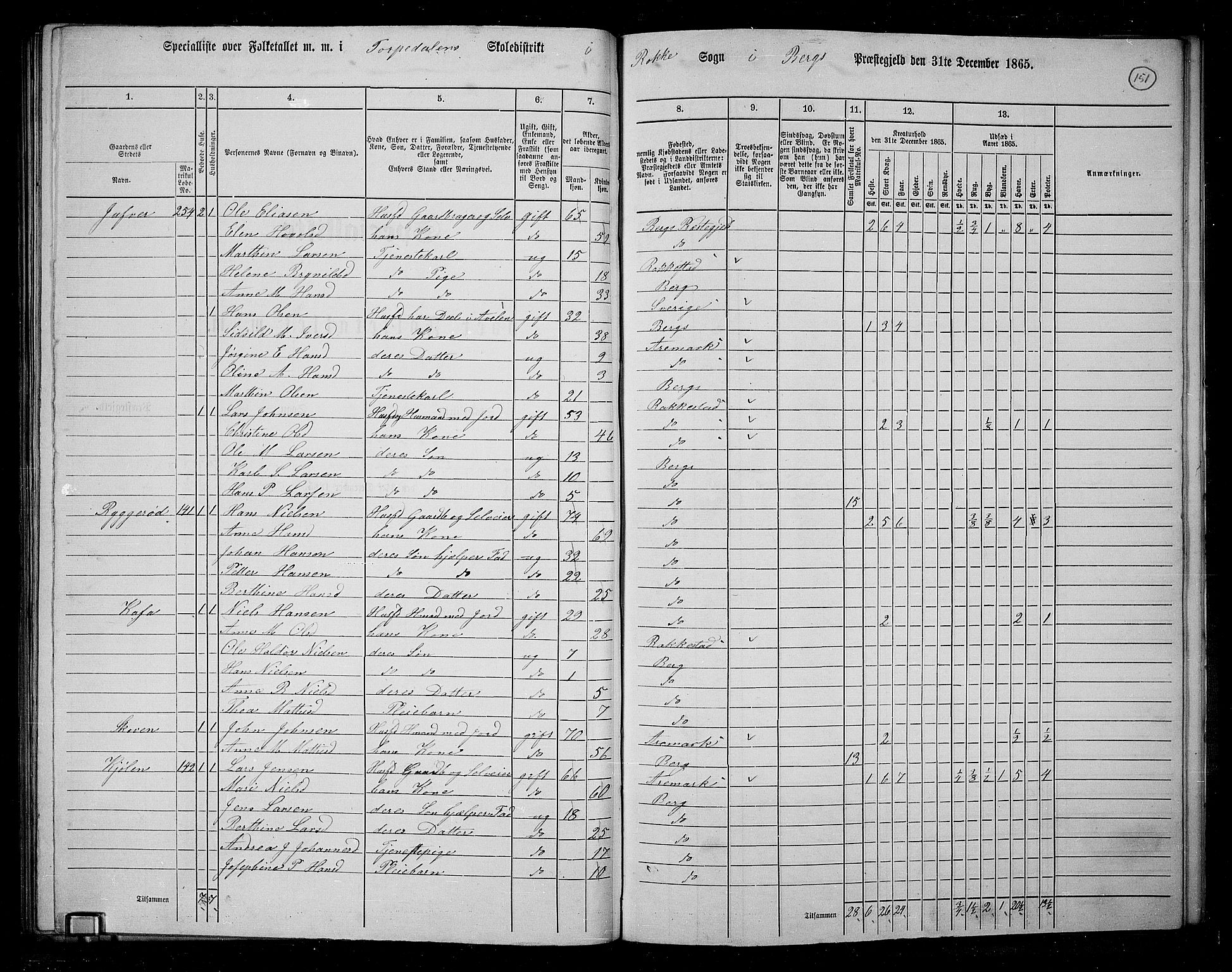 RA, Folketelling 1865 for 0116P Berg prestegjeld, 1865, s. 129